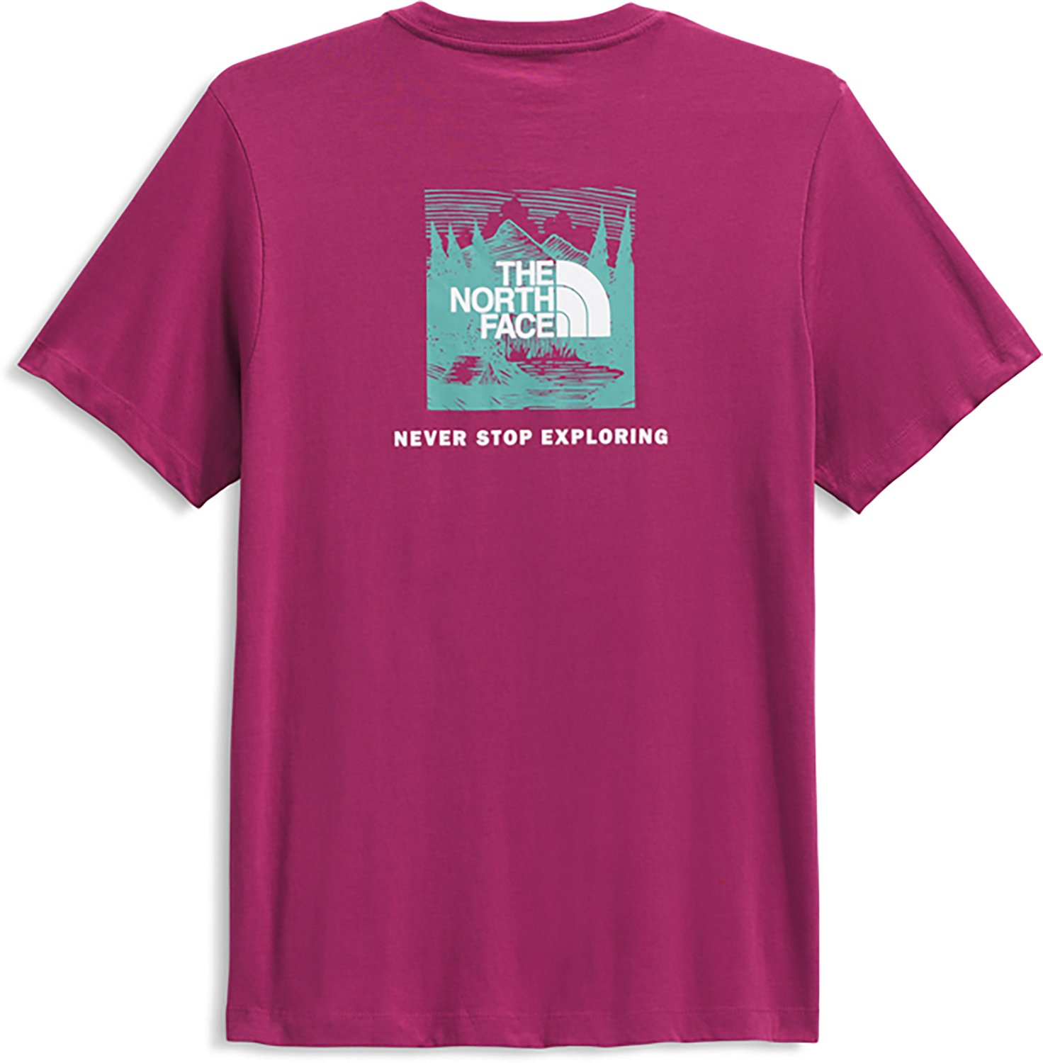 The North Face Men's Core Celebration Box NSE Graphic T-shirt - view number 4