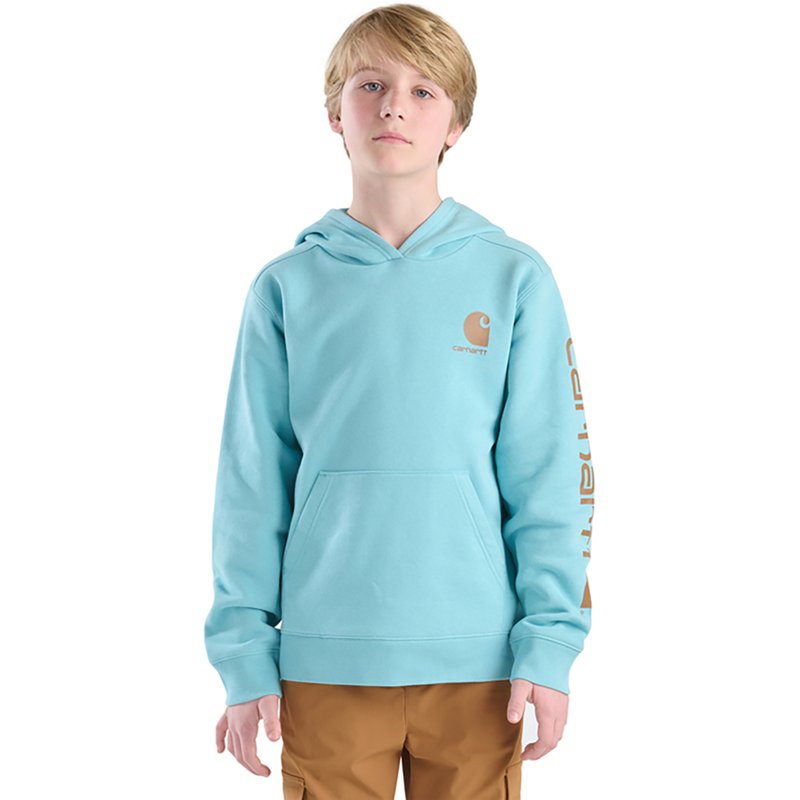 Carhartt Boys' Logo… - image