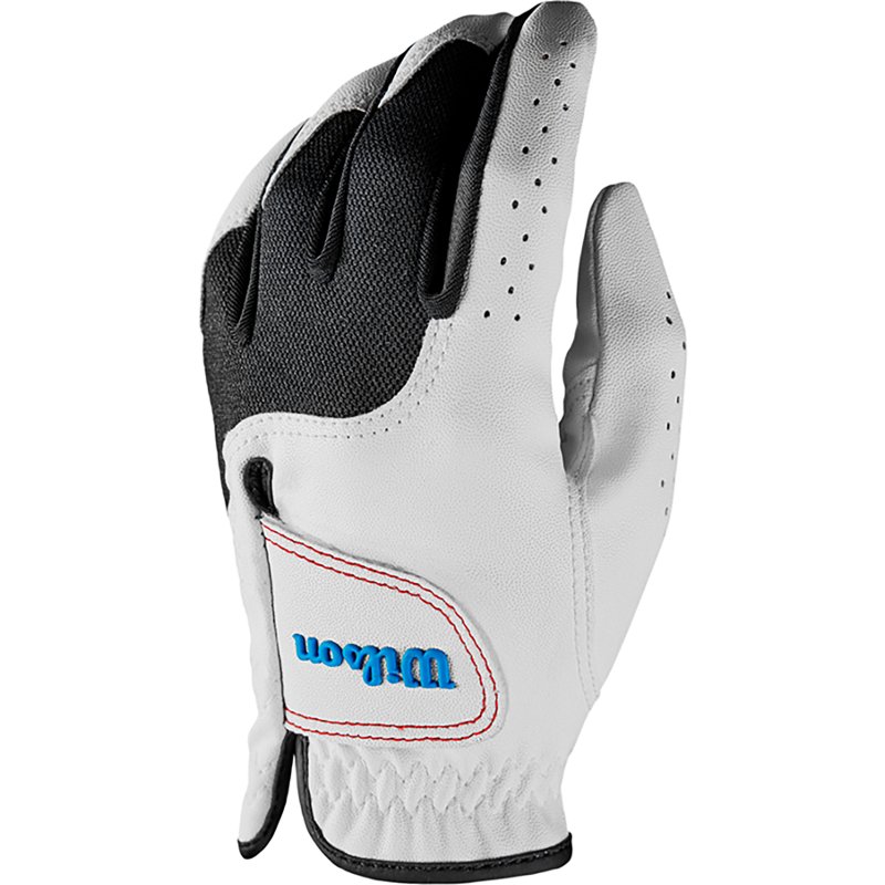 Wilson Boys' Prosof… - image