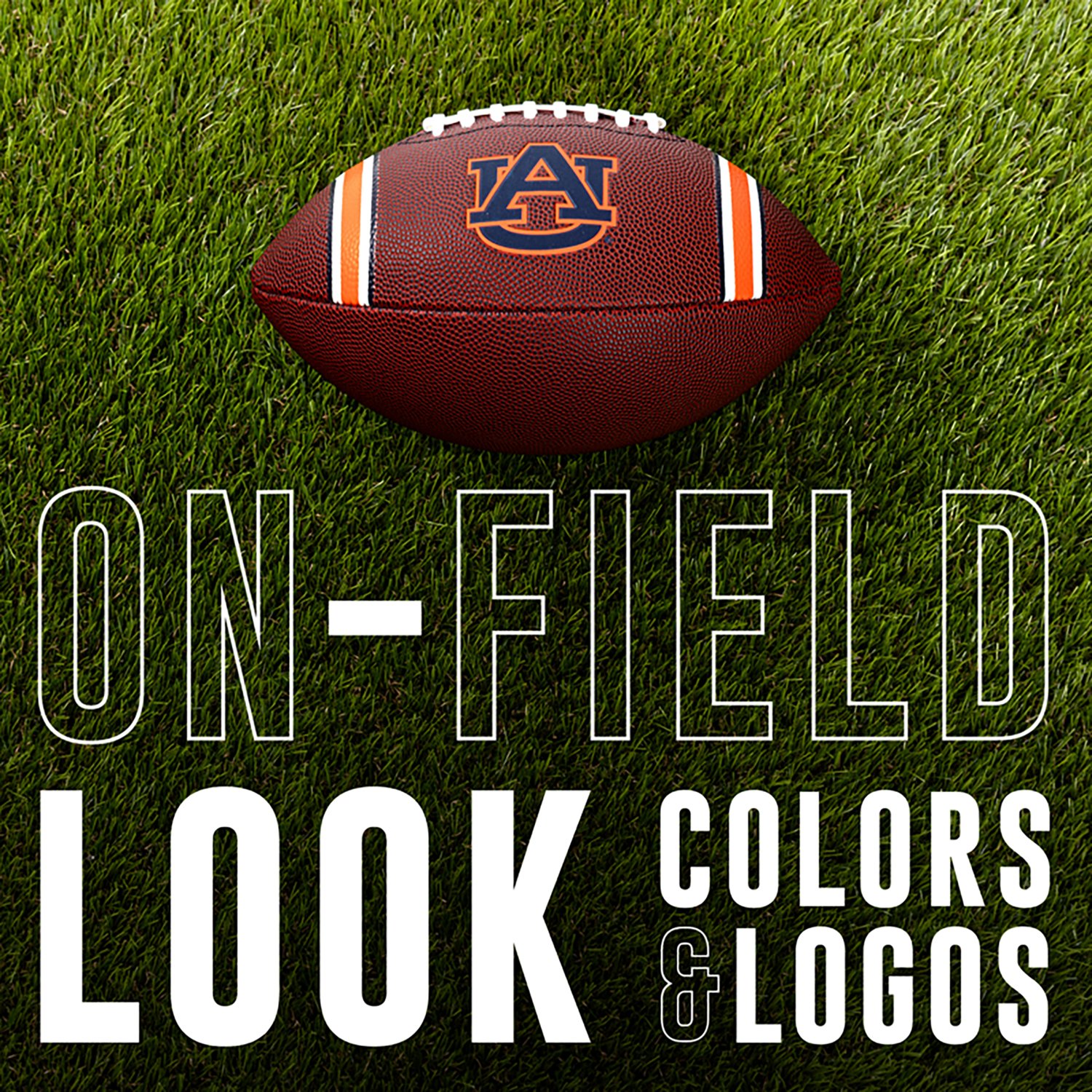 Franklin Auburn Junior Football