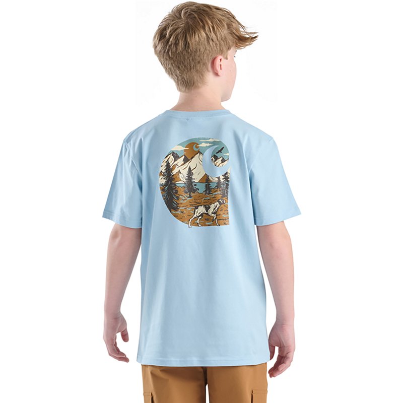 Carhartt Boys' Wild… - image