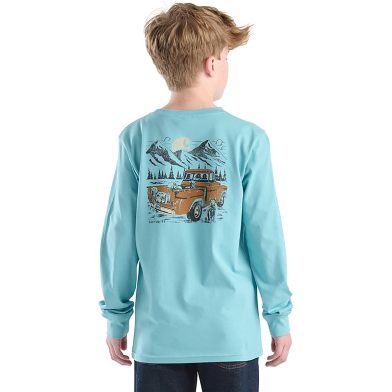 Carhartt Boys' Truc… - image