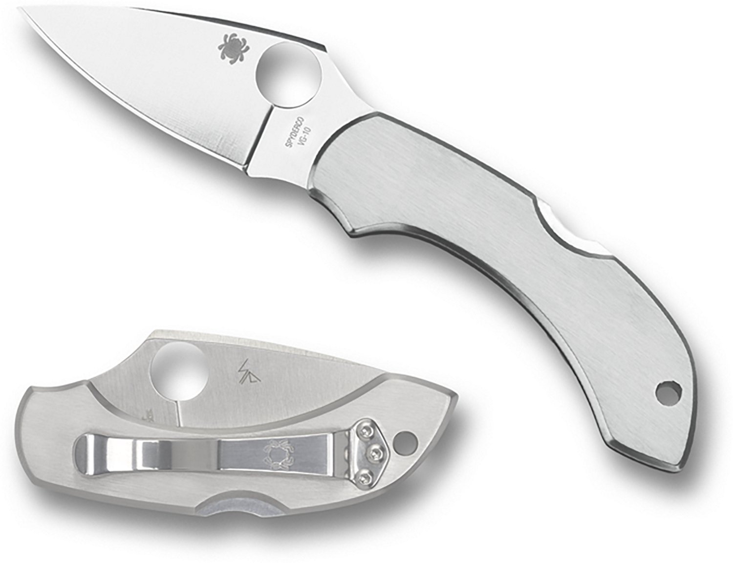 Spyderco Dragonfly Folding Knife