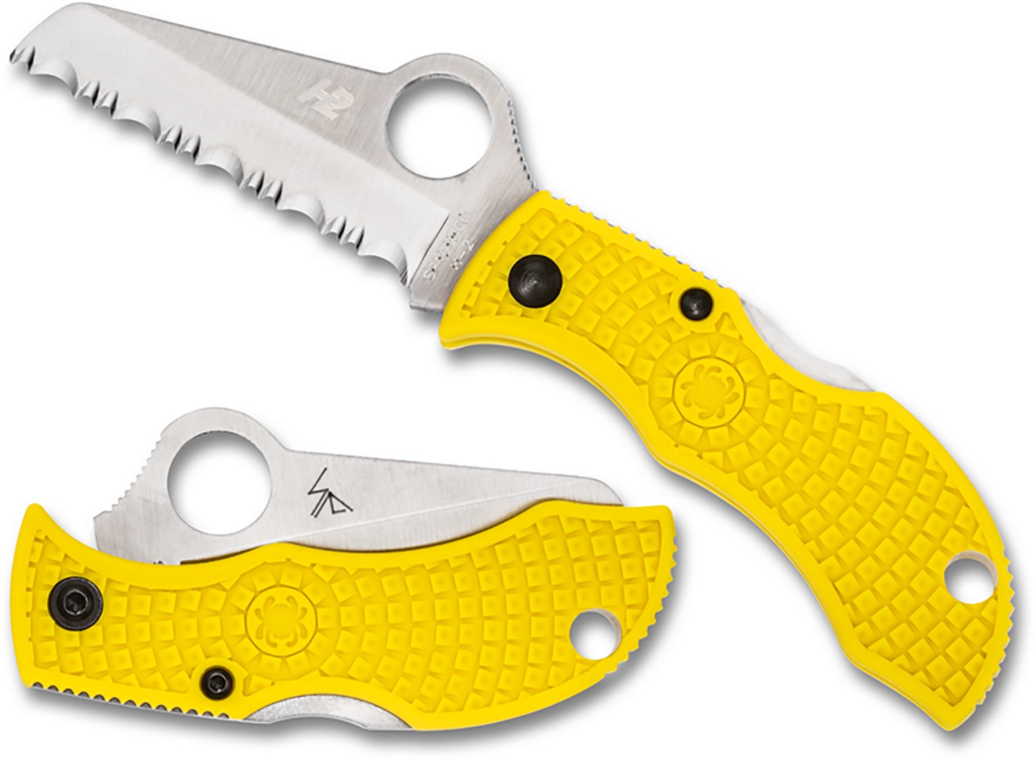 Spyderco Manbug Folding Knife - view number 3