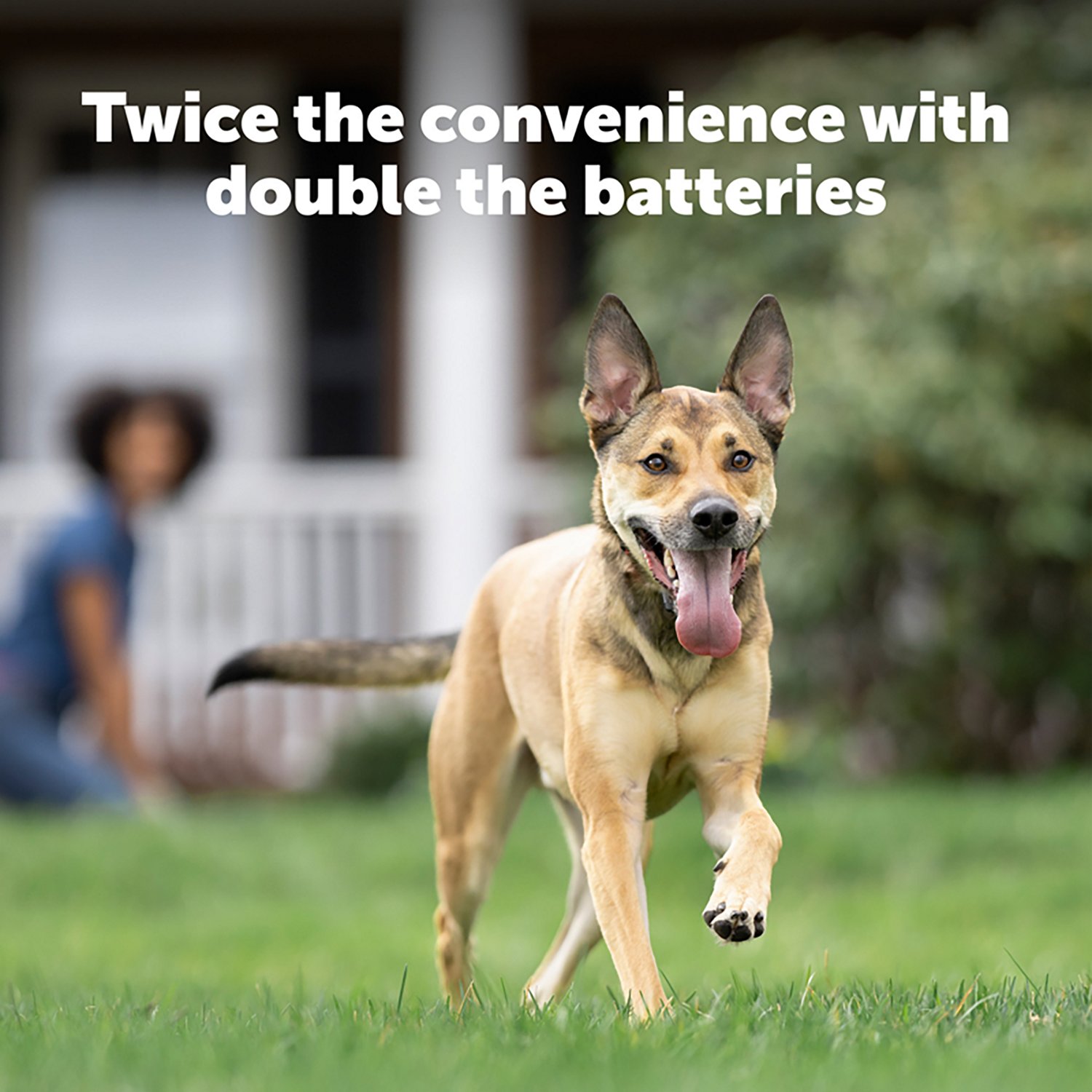 PetSafe® RFA-67 6V Battery 2-Pack - view number 5