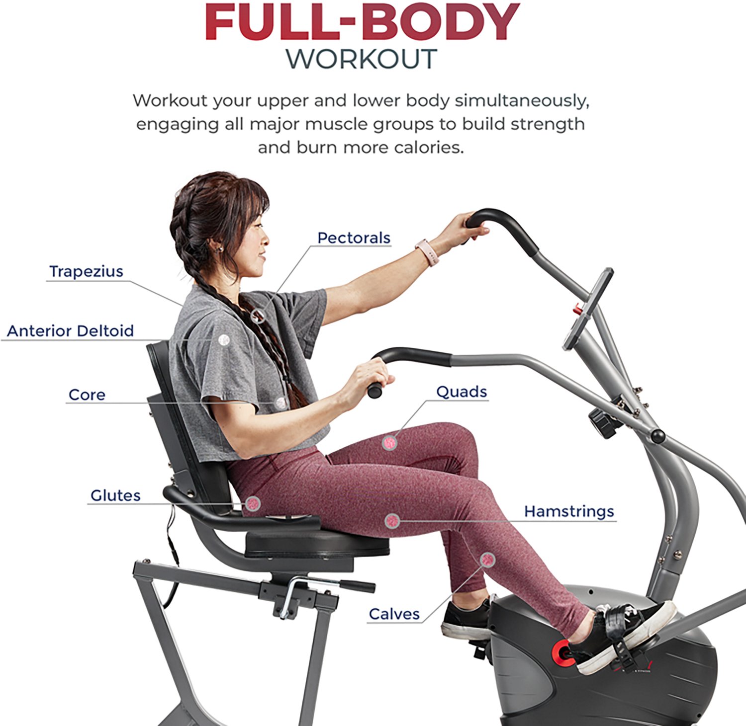 Sunny Health & Fitness Performance Interactive Series Recumbent Bike - view number 4
