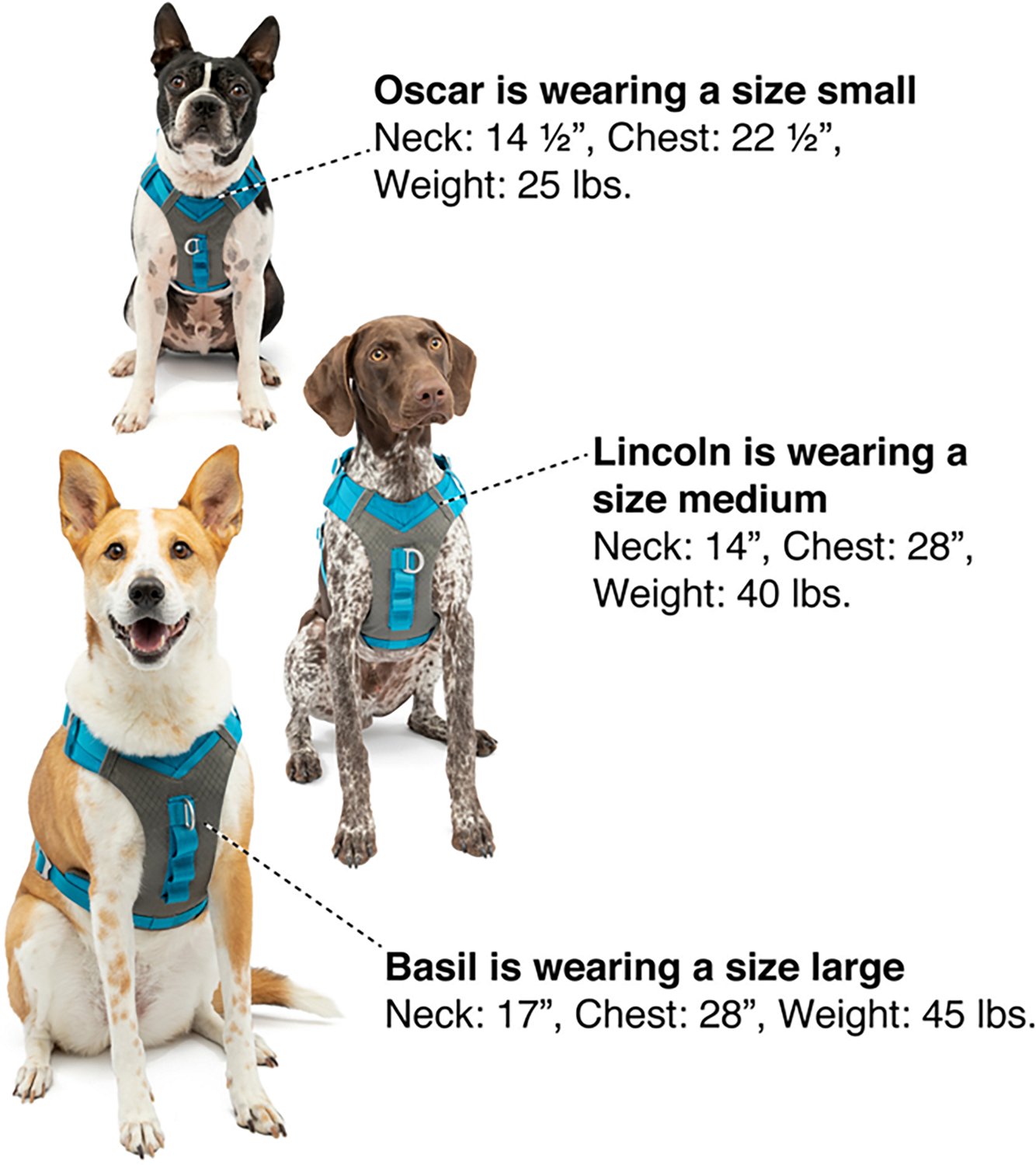 Kurgo Journey Air Dog Harness - view number 8
