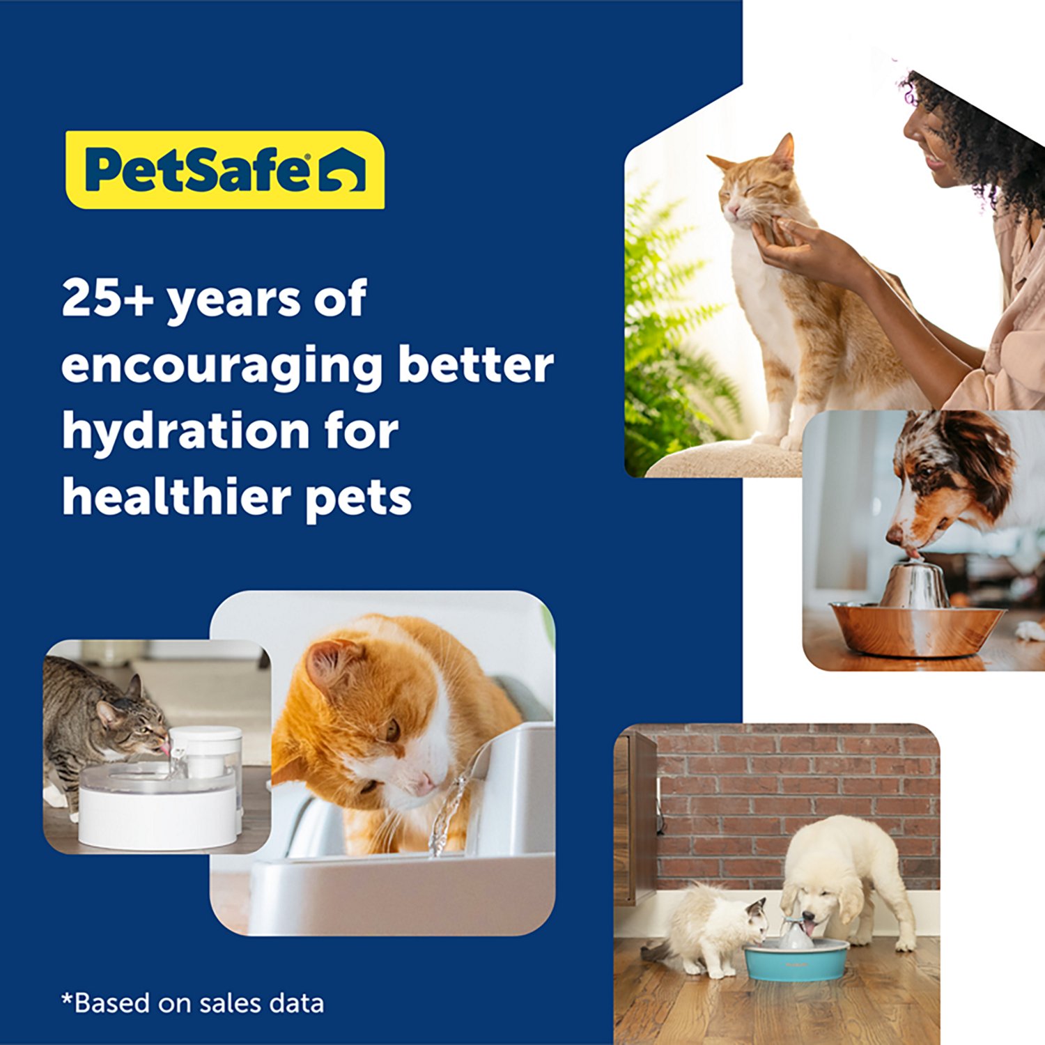 PetSafe Oasys Water Fountain 128oz - view number 6