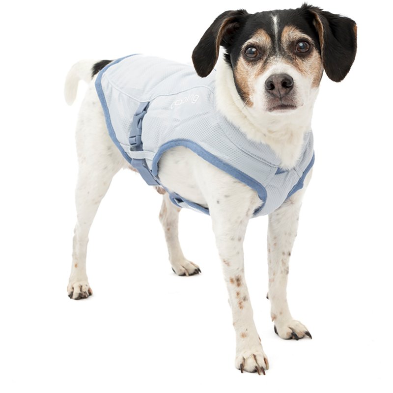Burgo Dog Core Cool… - image