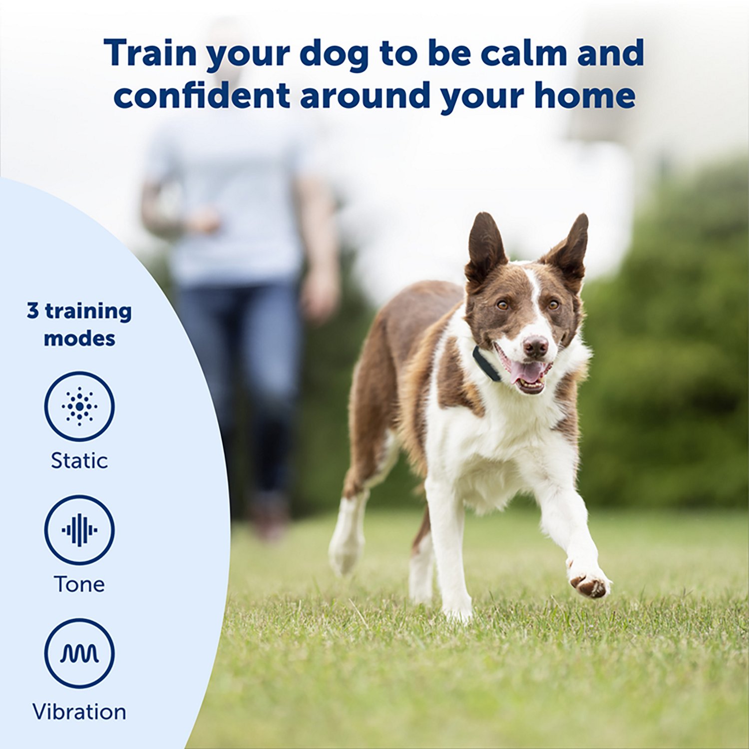 PetSafe Remote Dog Trainer Collar 100yd - view number 2