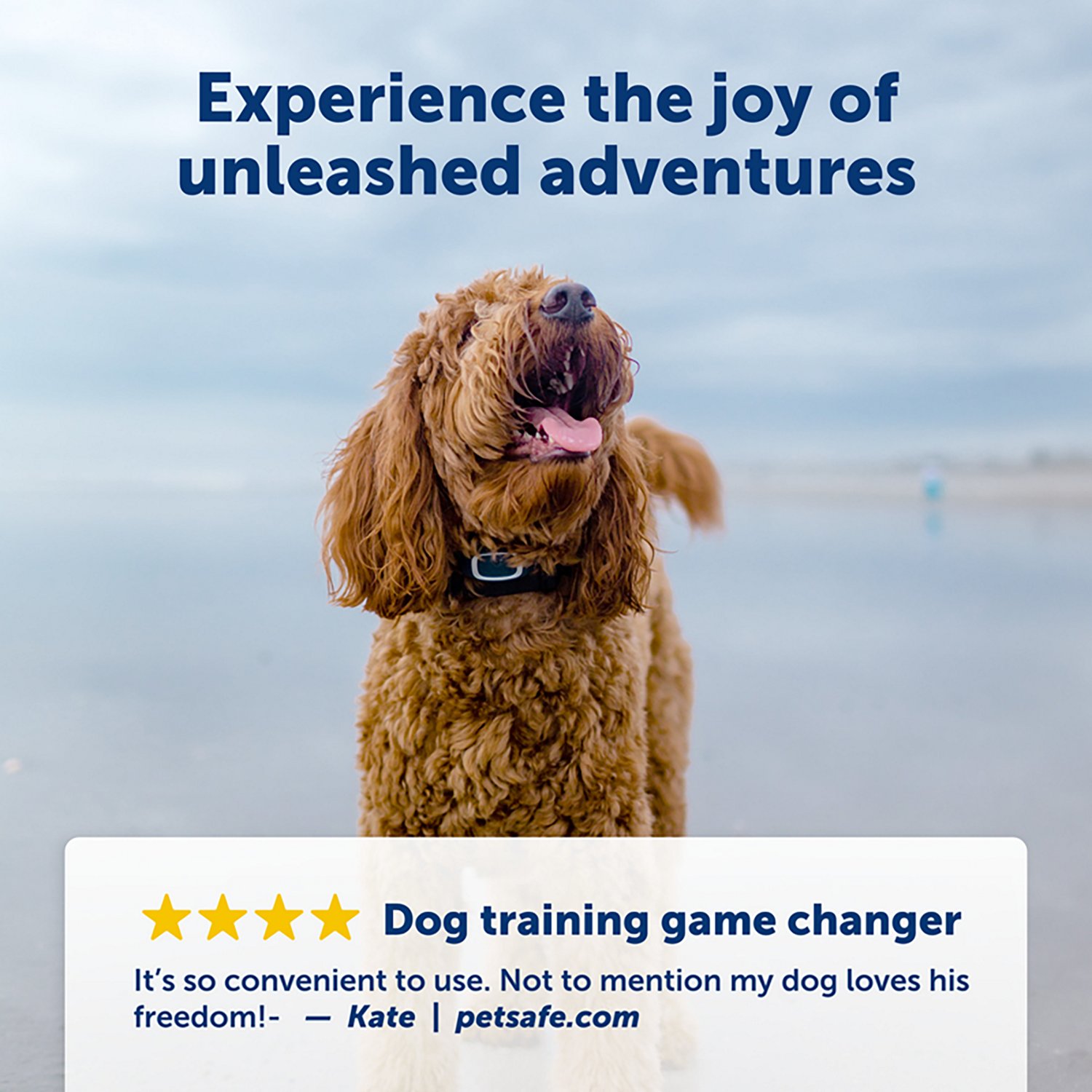 PetSafe Remote Dog Trainer Collar 100yd - view number 4