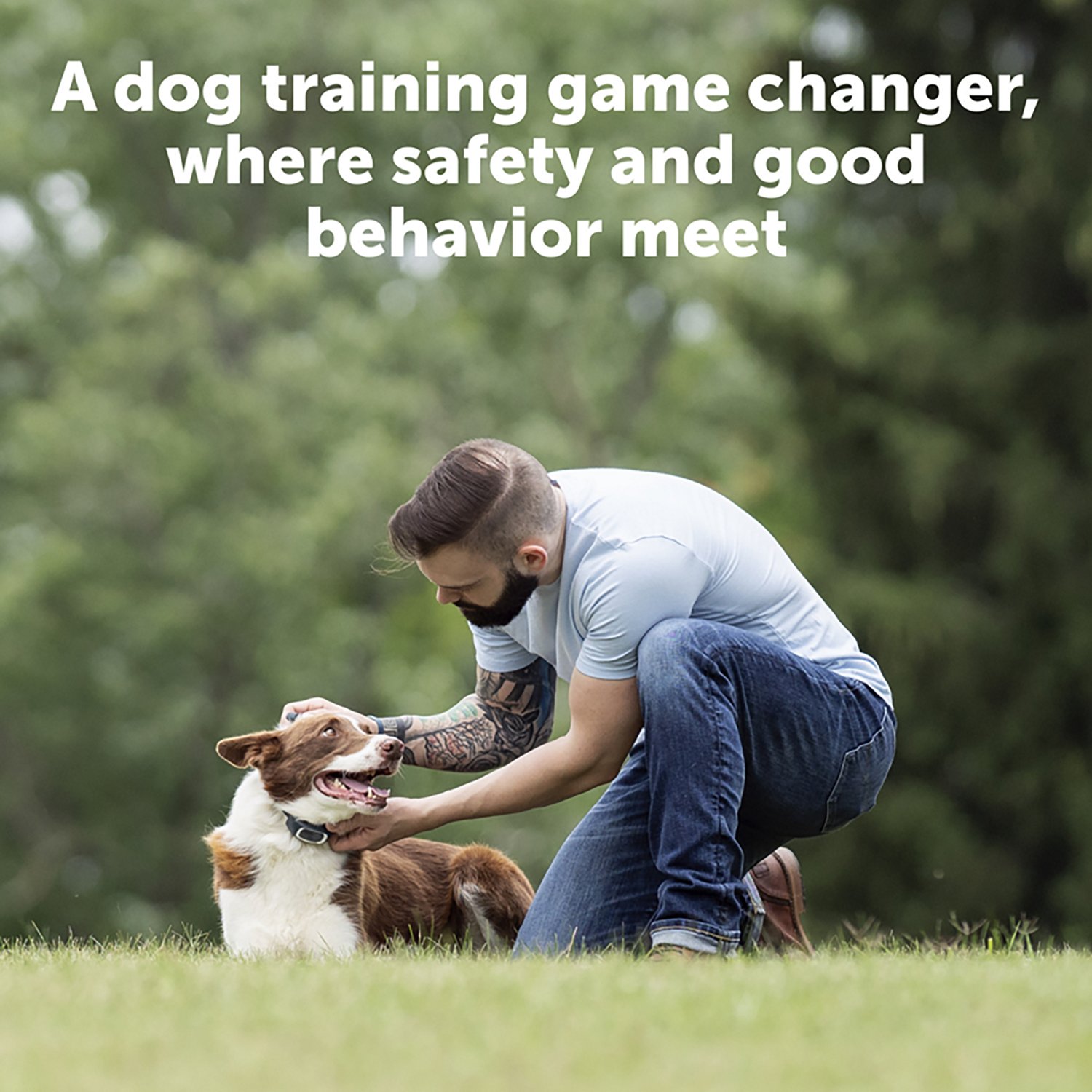 PetSafe Remote Dog Trainer Collar 100yd - view number 5