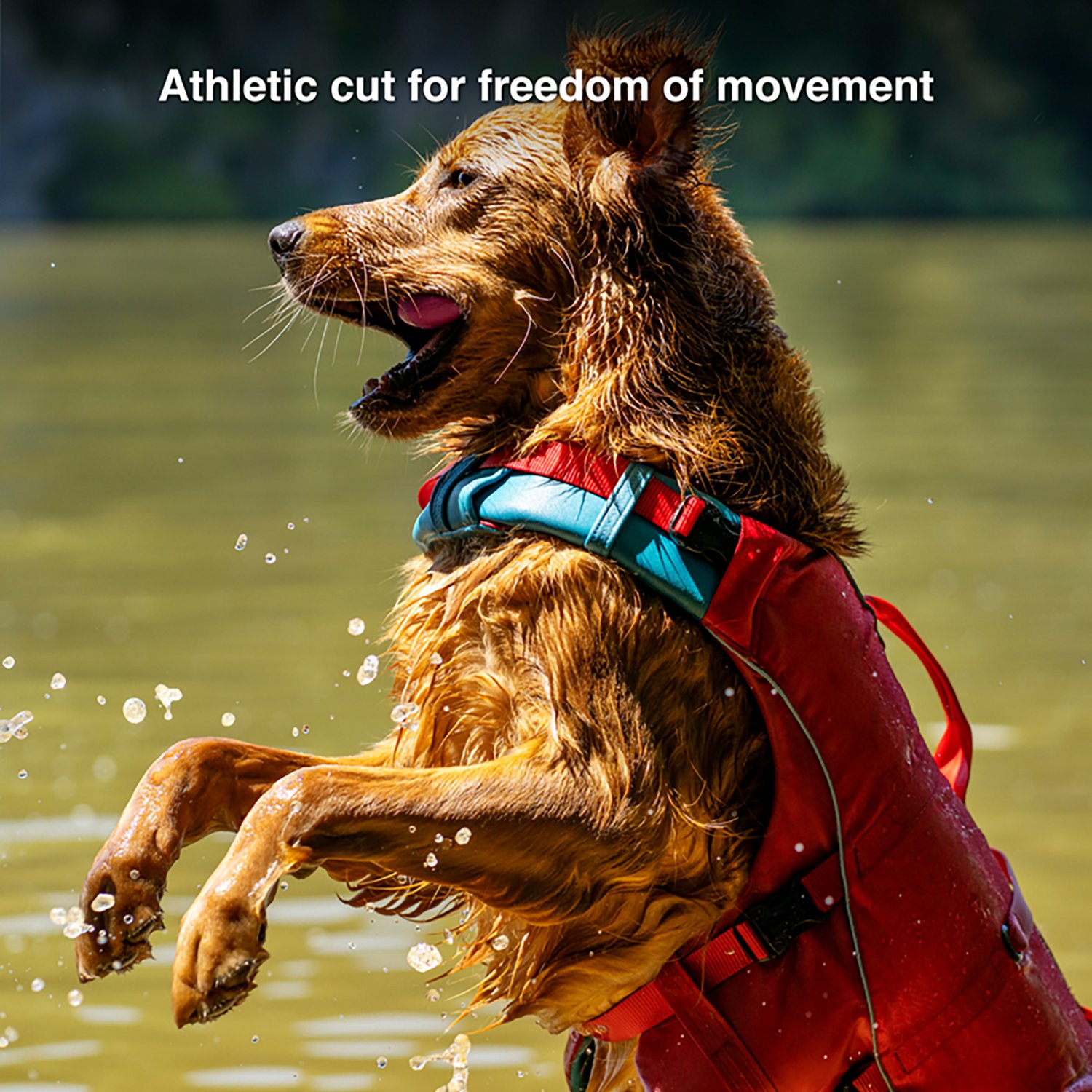 Kurgo Surf N Turf Dog Lifejacket