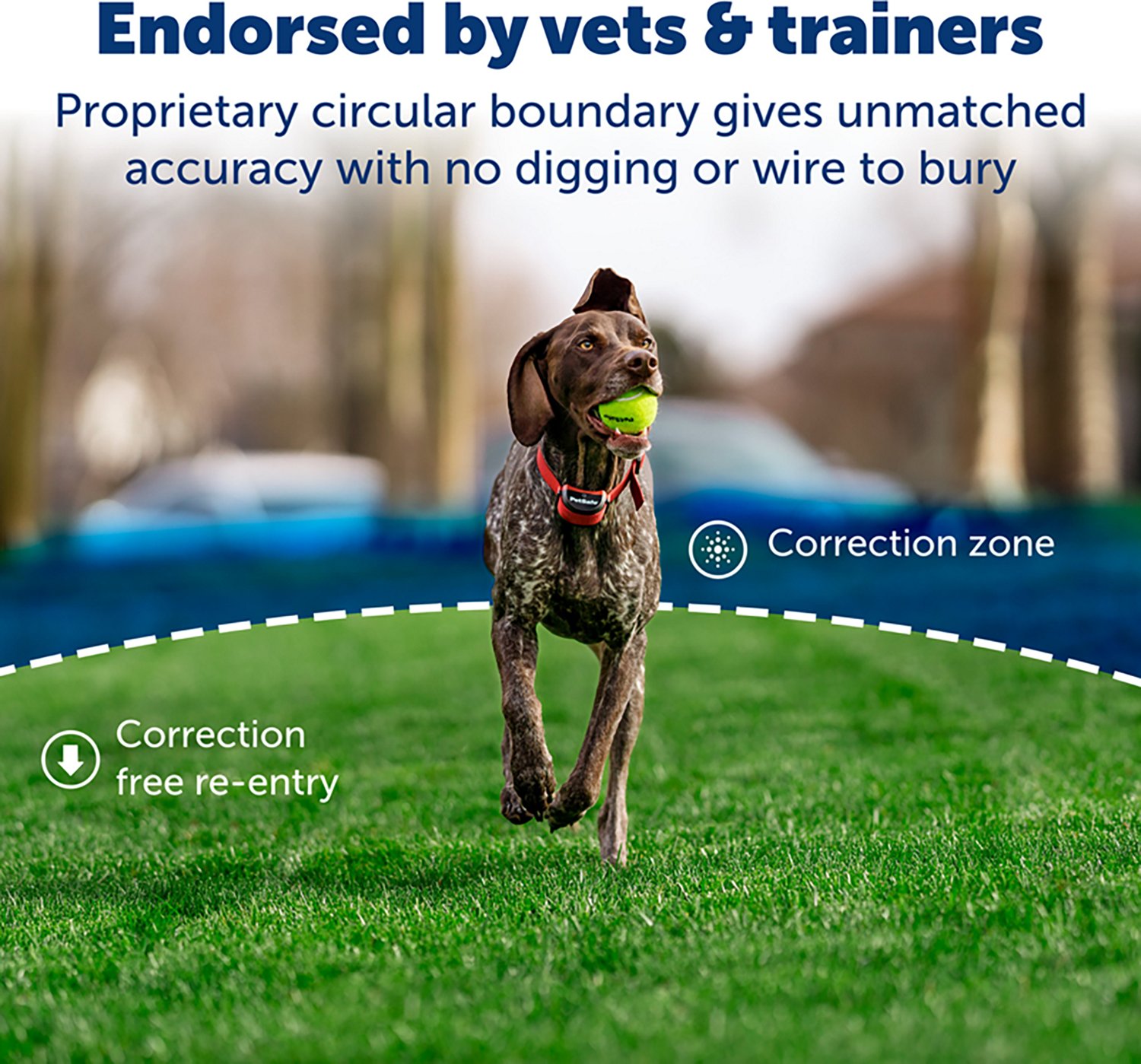 PetSafe Stay & Play Wireless Dog Fence for Stubborn Dogs Set - view number 2