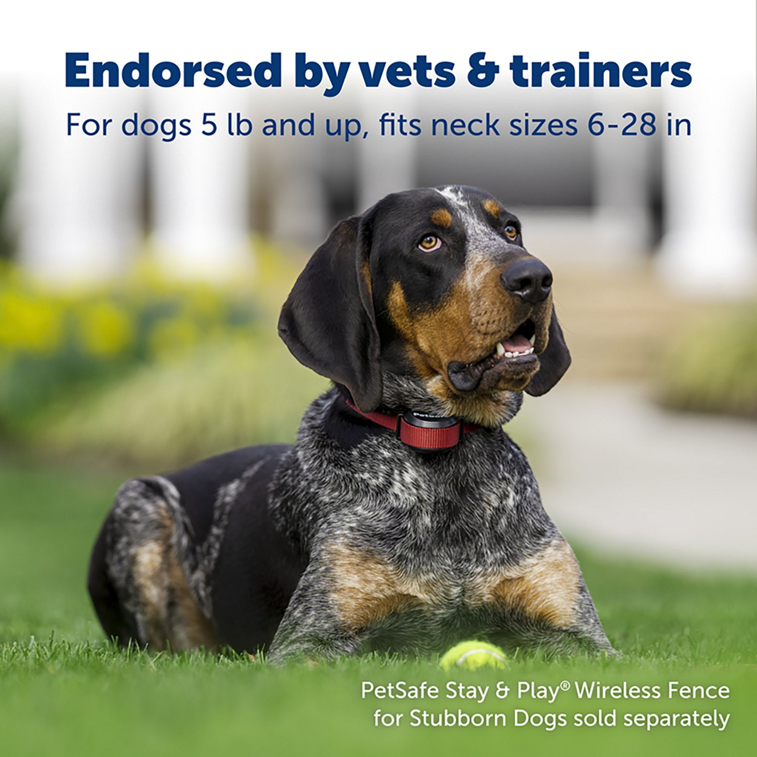 PetSafe Stay & Play Wireless Dog Fence for Stubborn Dogs Receiver - view number 2