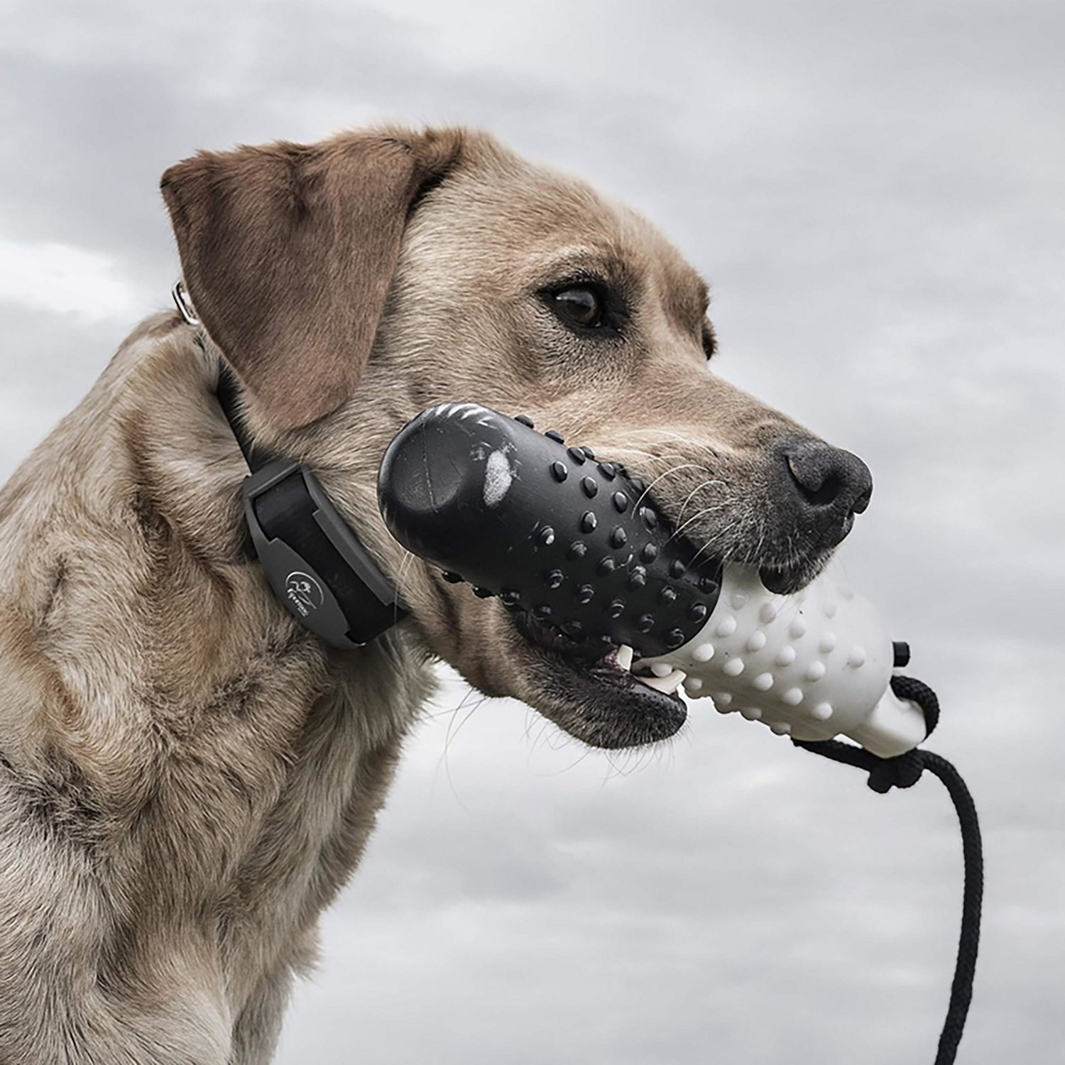 SportDOG Brand 425X Field Trainer Collar - view number 4