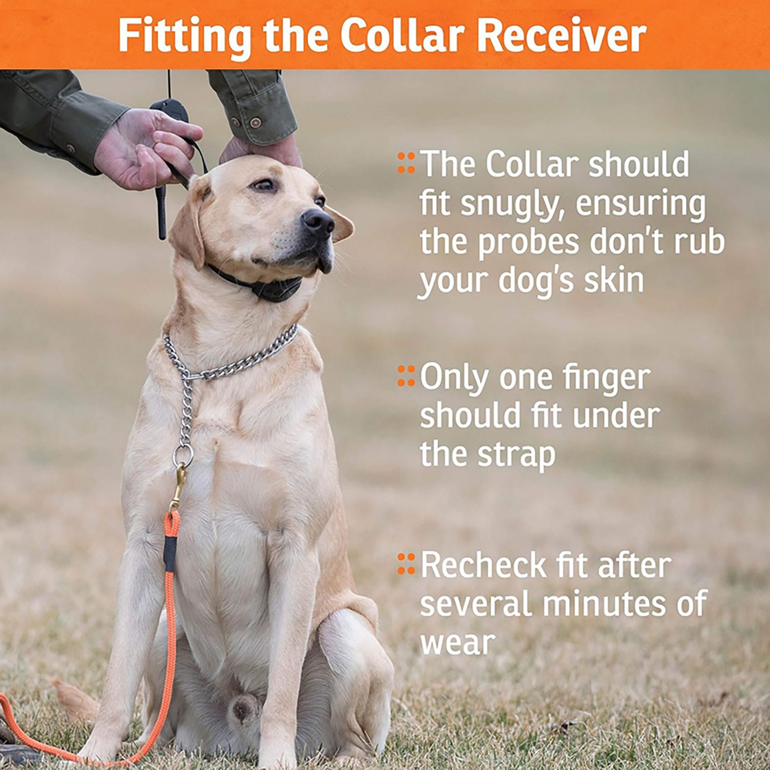 SportDOG Brand 425X Field Trainer Collar - view number 5
