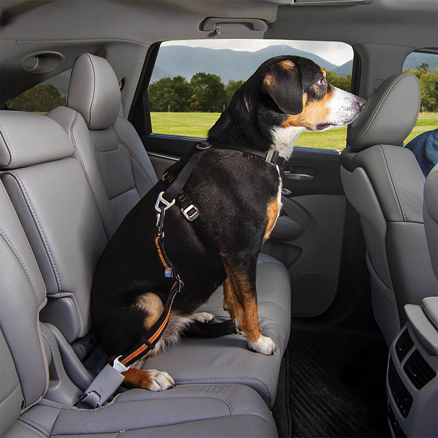 Kurgo Direct to Seatbelt Dog Swivel Car Tether - view number 5