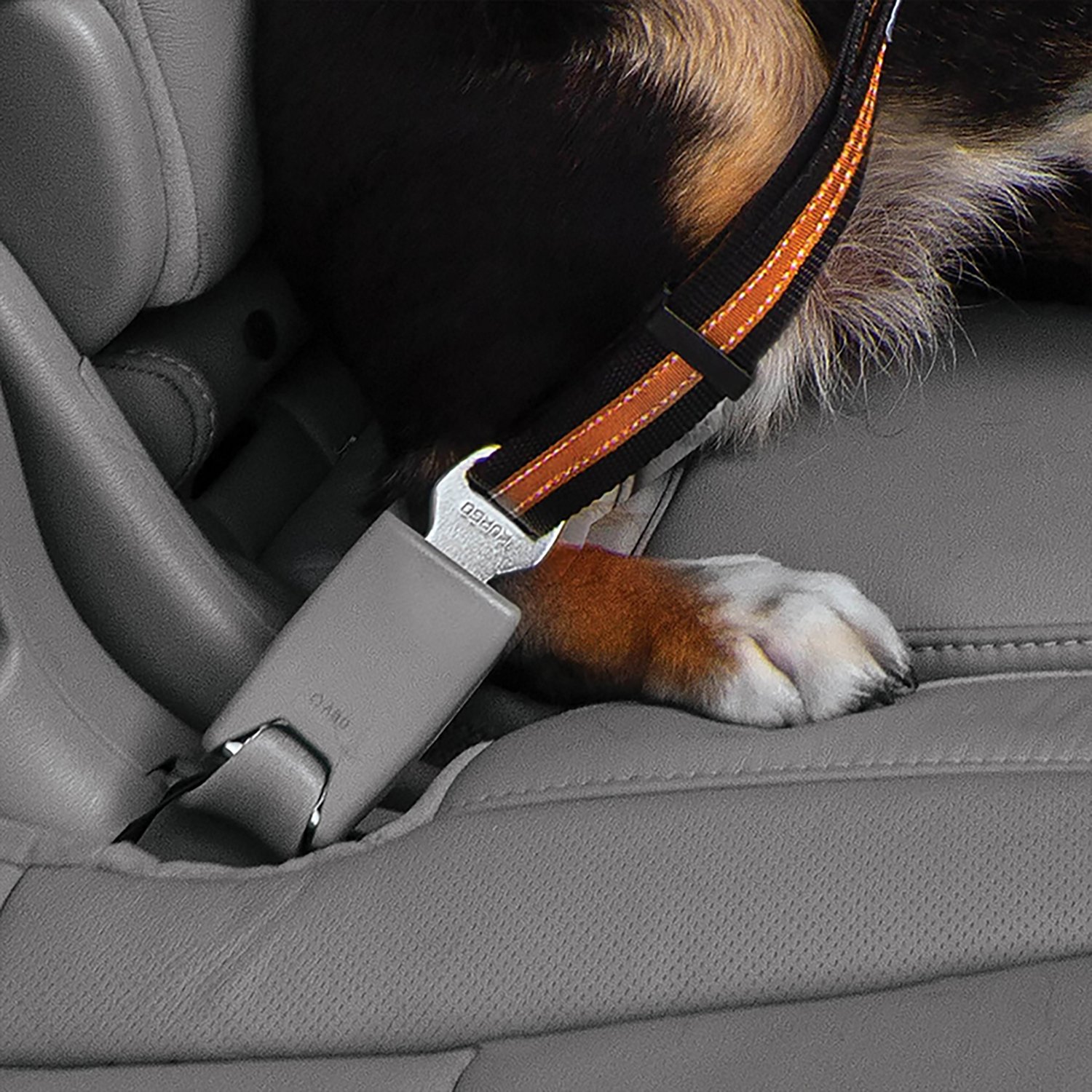Kurgo Direct to Seatbelt Dog Swivel Car Tether - view number 7