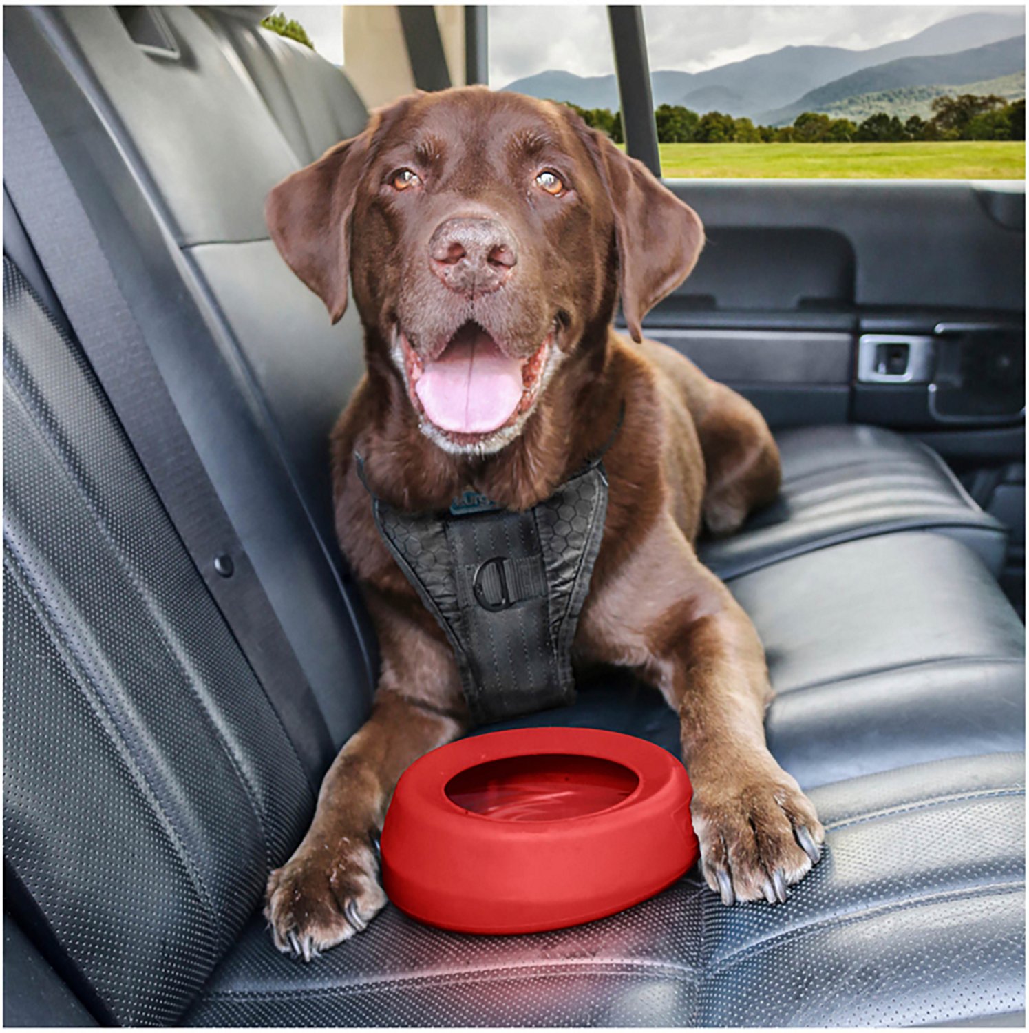 Kurgo Splash Free Wander Dog Bowl 24oz
