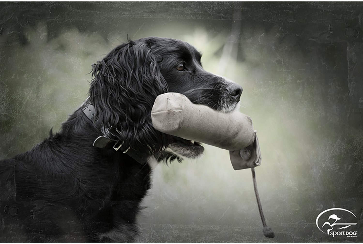 SportDOG Canvas Dummy Dog Water Training Regular - view number 2