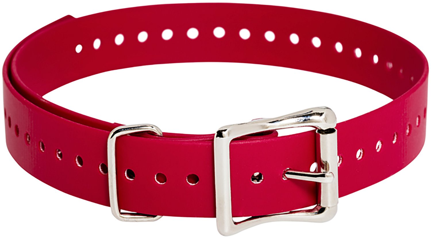 SportDOG Collar Strap Replacement TEK Series Dog Collar 1"