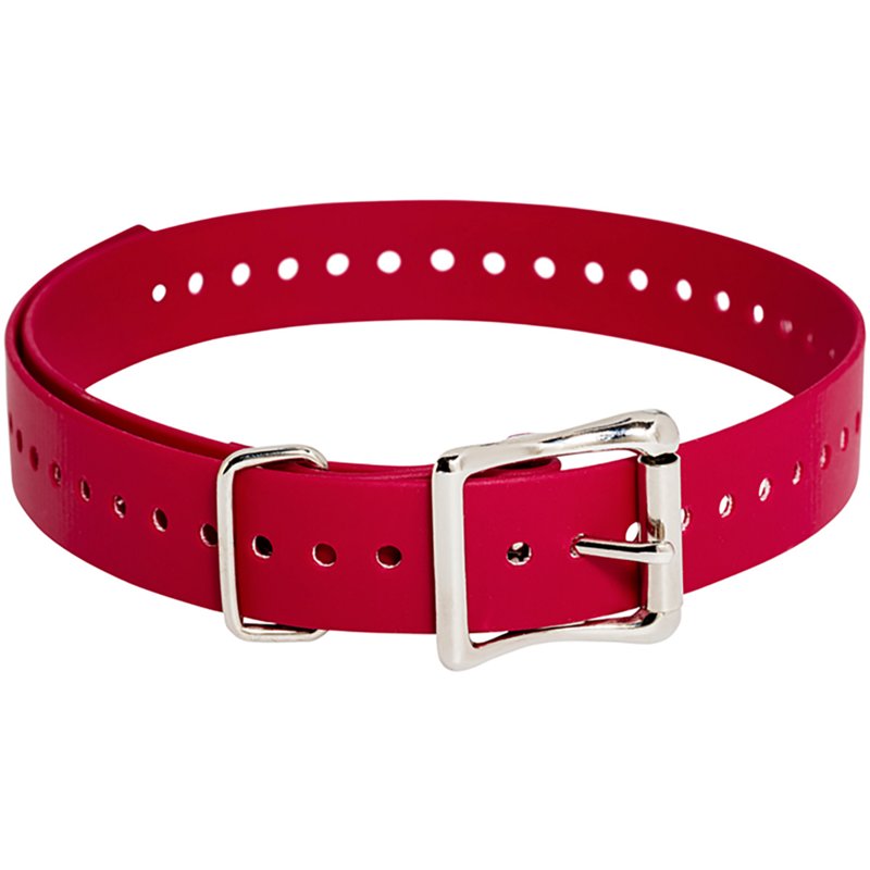 Sportdog Collar Str… - image