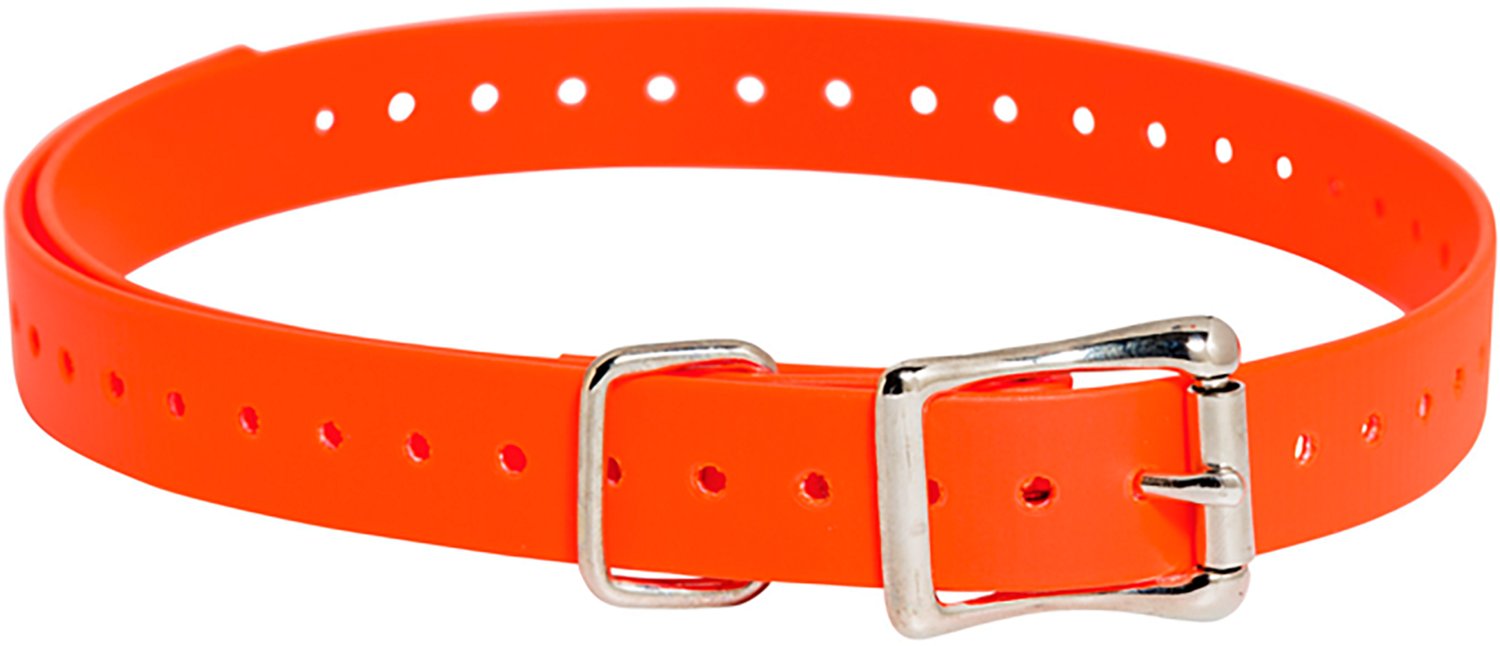 SportDOG Collar Strap Replacement TEK Series Dog Collar 3/4" - view number 1