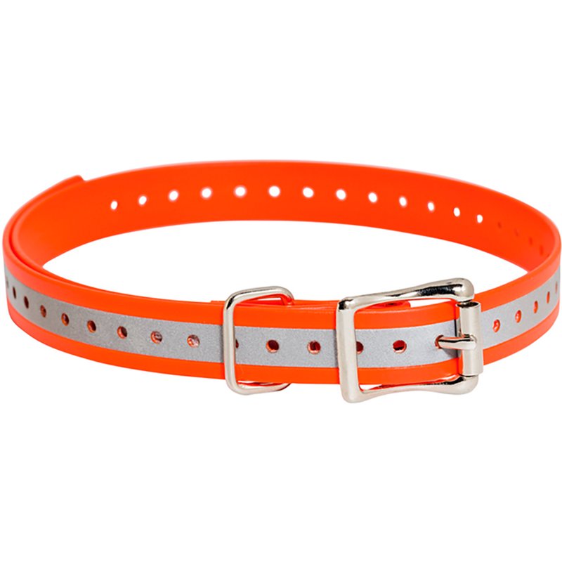Sportdog Brand 3/4"… - image