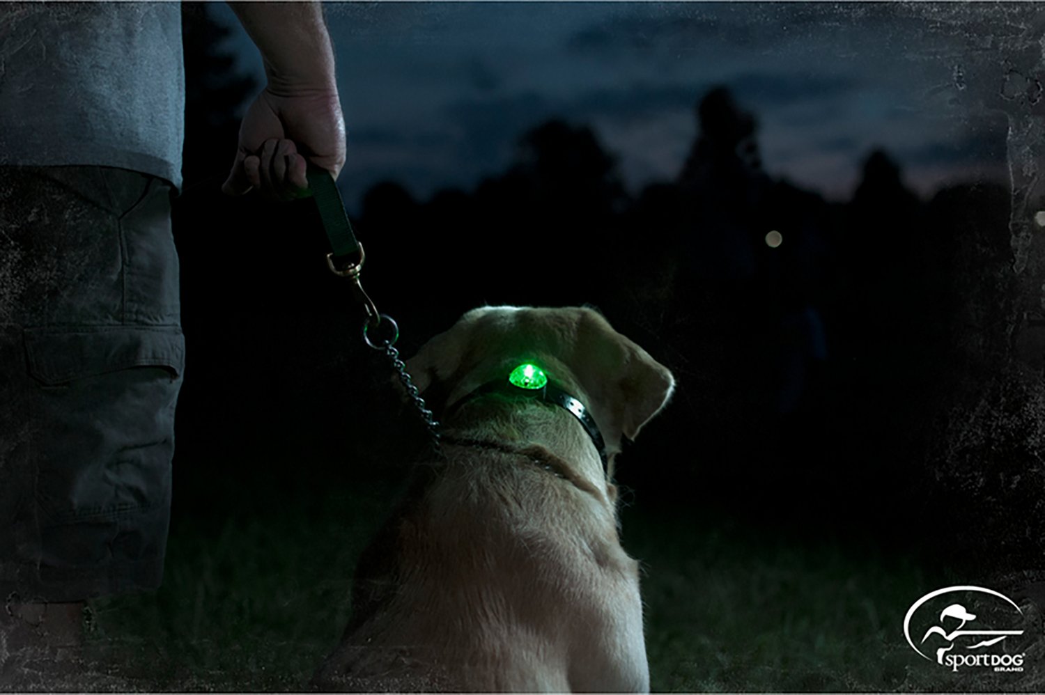 SportDOG Locator Beacon - view number 2