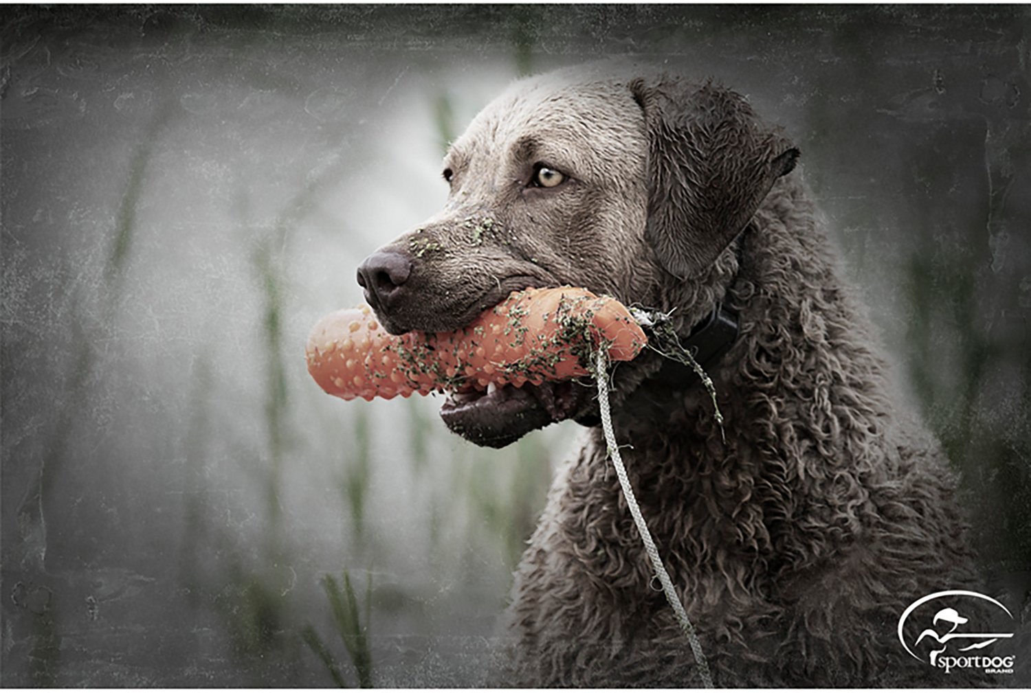 SportDOG Brand Regular Plastic Dummy - view number 2