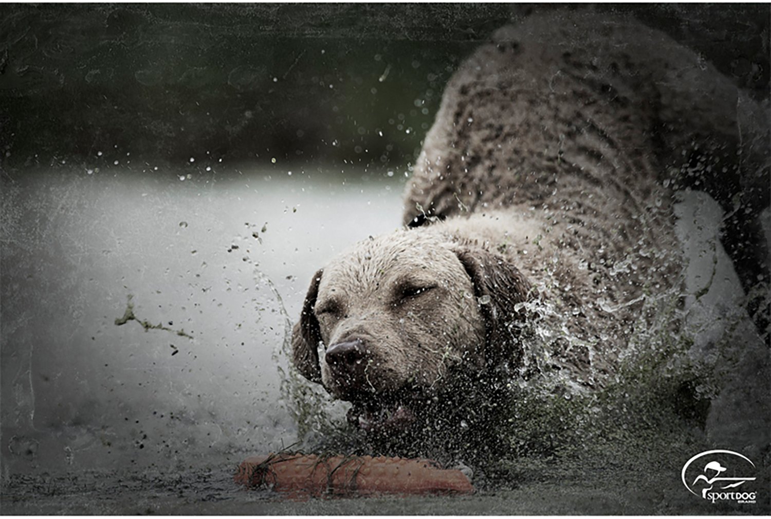 SportDOG Brand Regular Plastic Dummy - view number 3