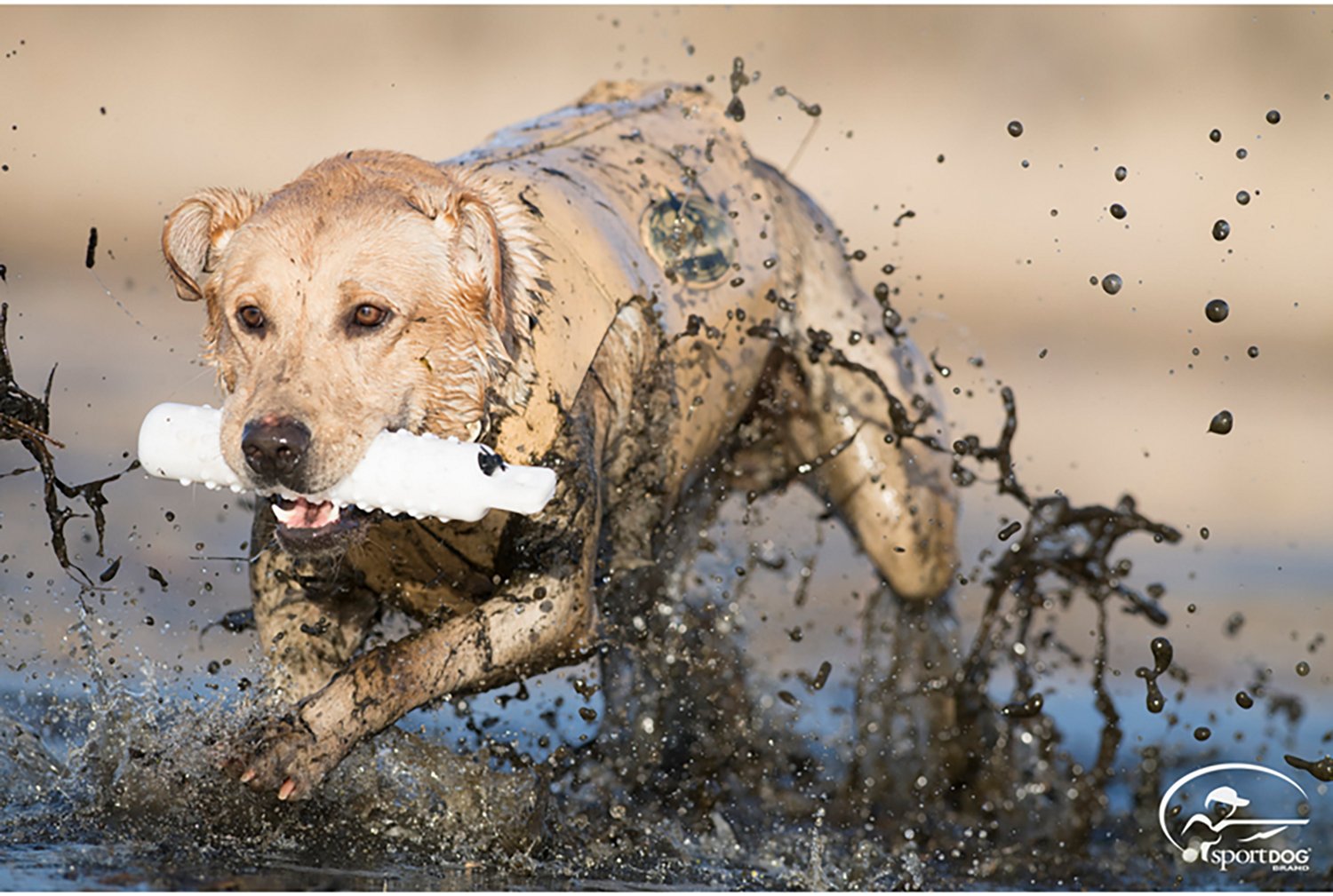 SportDOG Brand Regular Plastic Dummy - view number 2