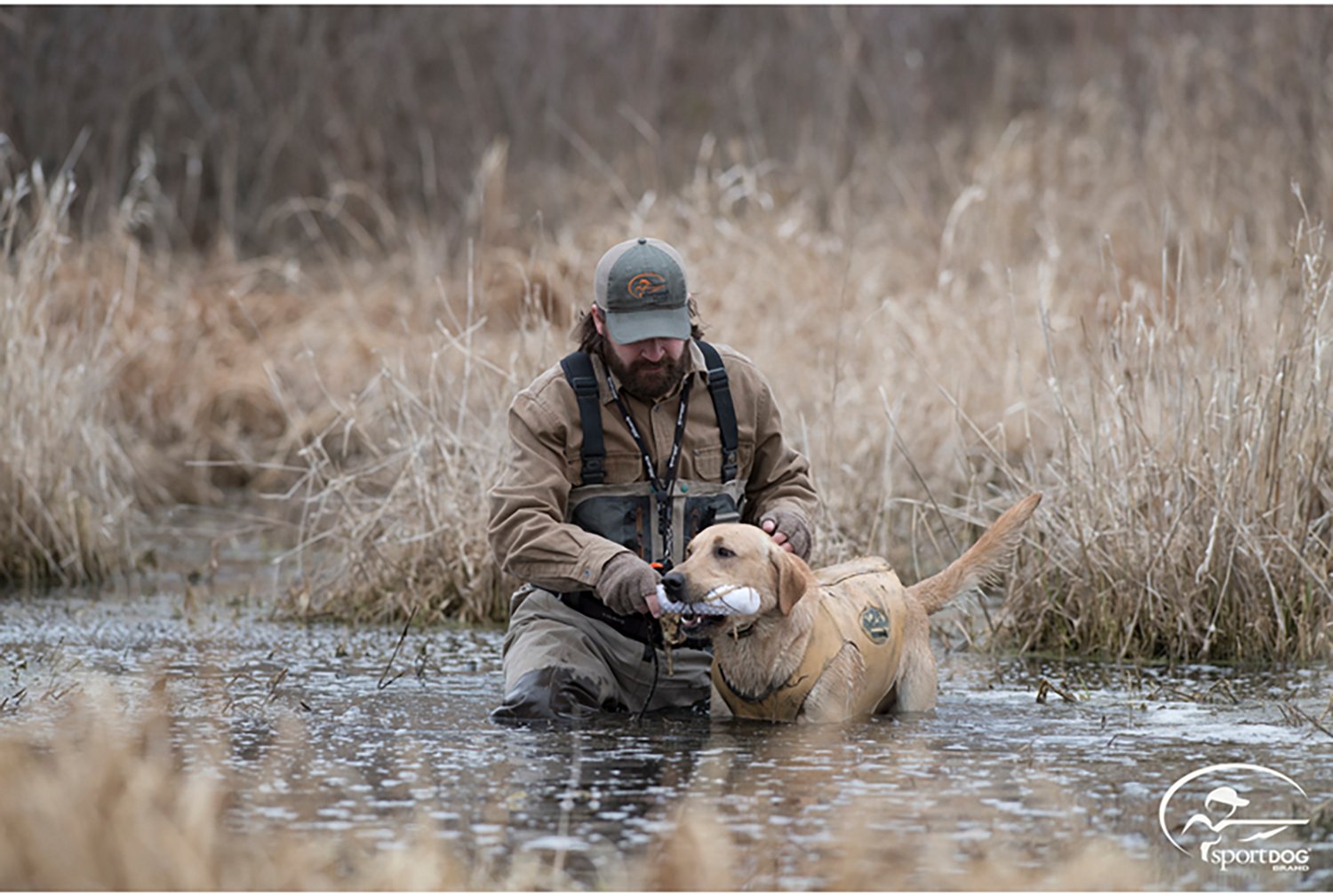 SportDOG Brand Regular Plastic Dummy - view number 3