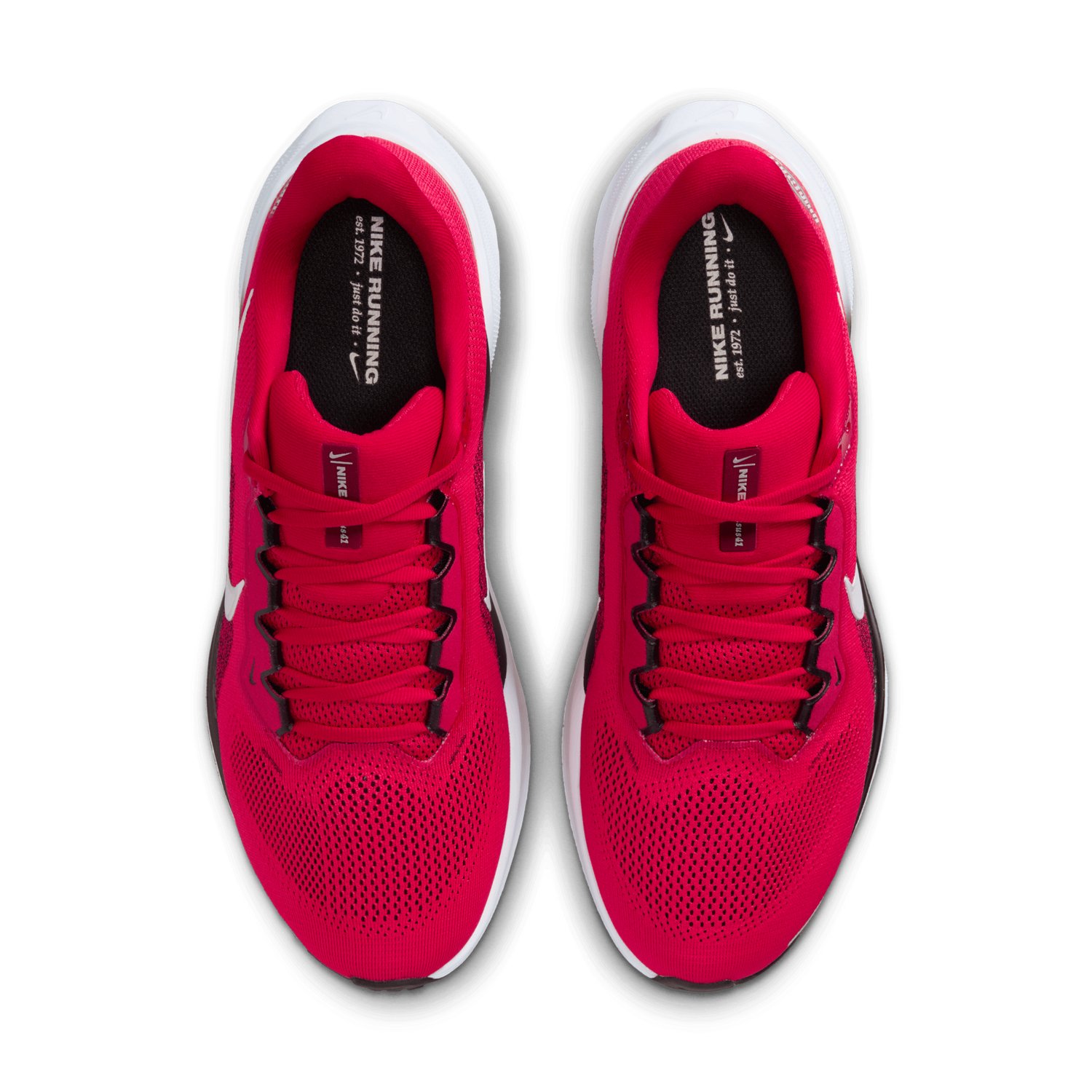 Nike Ohio State Buckeyes Nike Zoom Pegasus 41 Running Shoes - view number 5