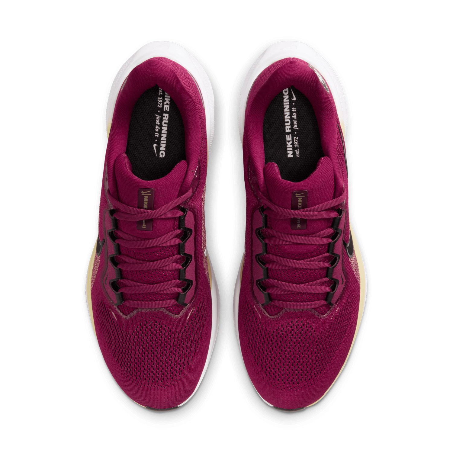 Nike Florida State Seminoles Nike Zoom Pegasus 41 Running Shoes - view number 5