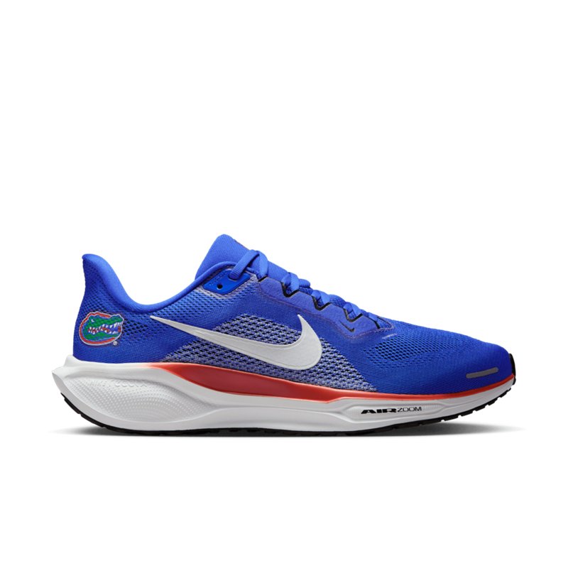 Nike Florida Gators… - image