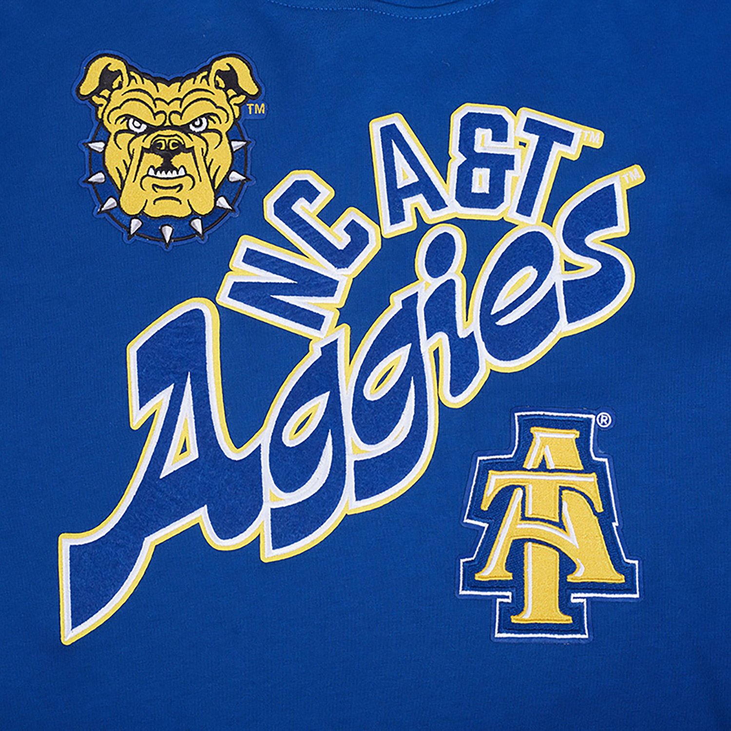 Pro Standard Men's North Carolina A&T Aggies Homecoming Fleece Hoodie - view number 8