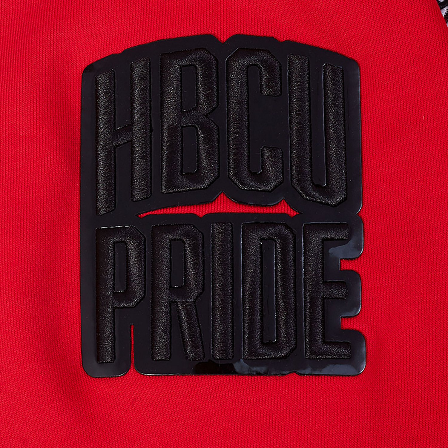 Pro Standard Men's Winston-Salem State Rams Homecoming Fleece Hoodie - view number 5