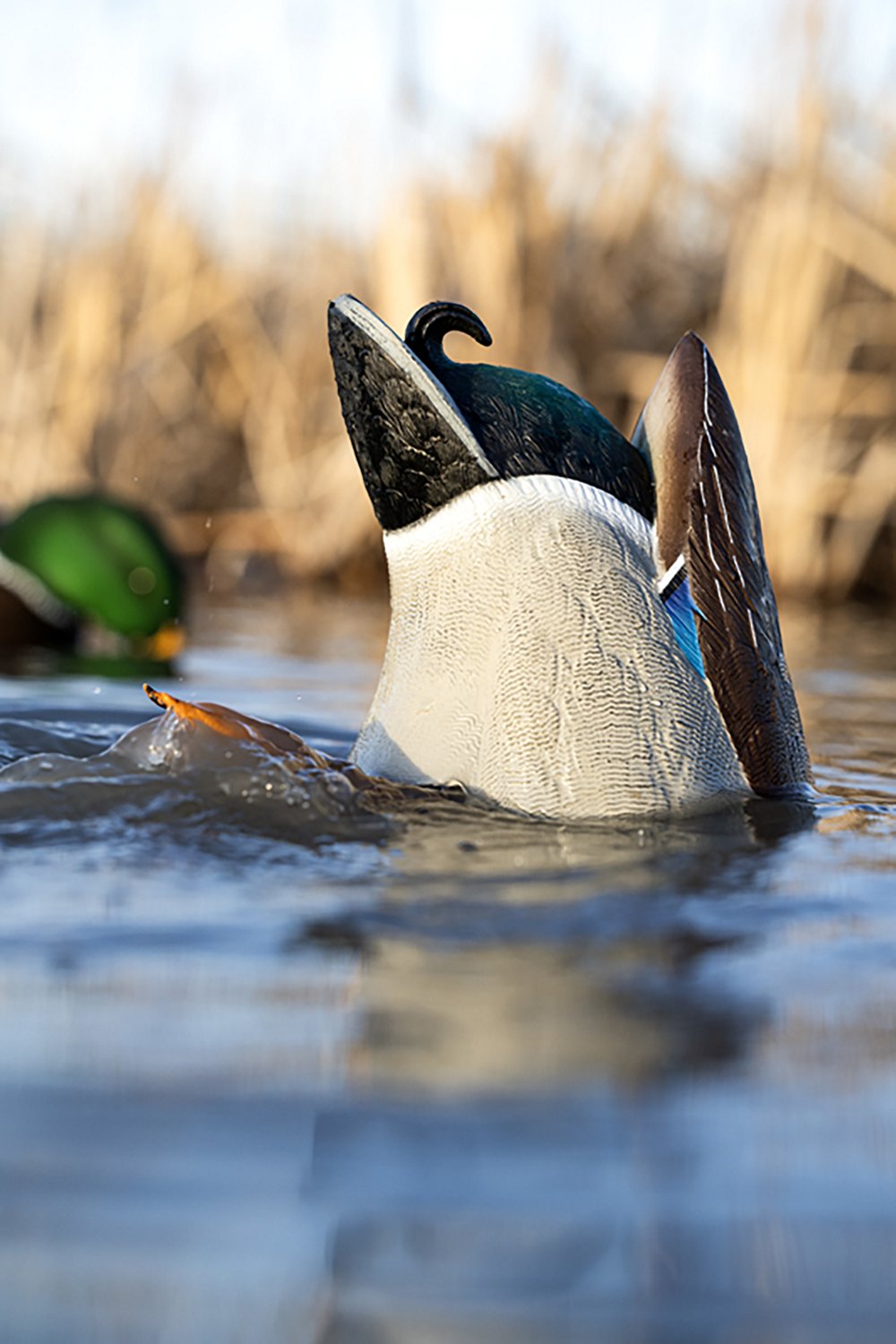 Avian X Power Butt Kicker Drake Mallard Decoy - view number 3