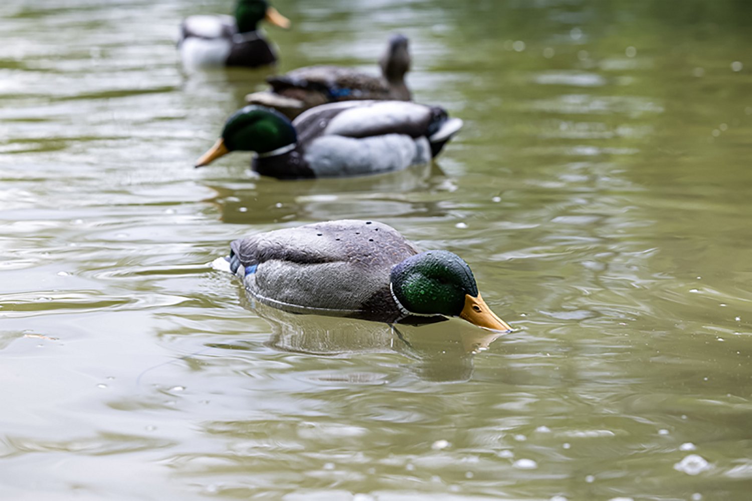 Avian X Tip Up Mallard Feeder - view number 8