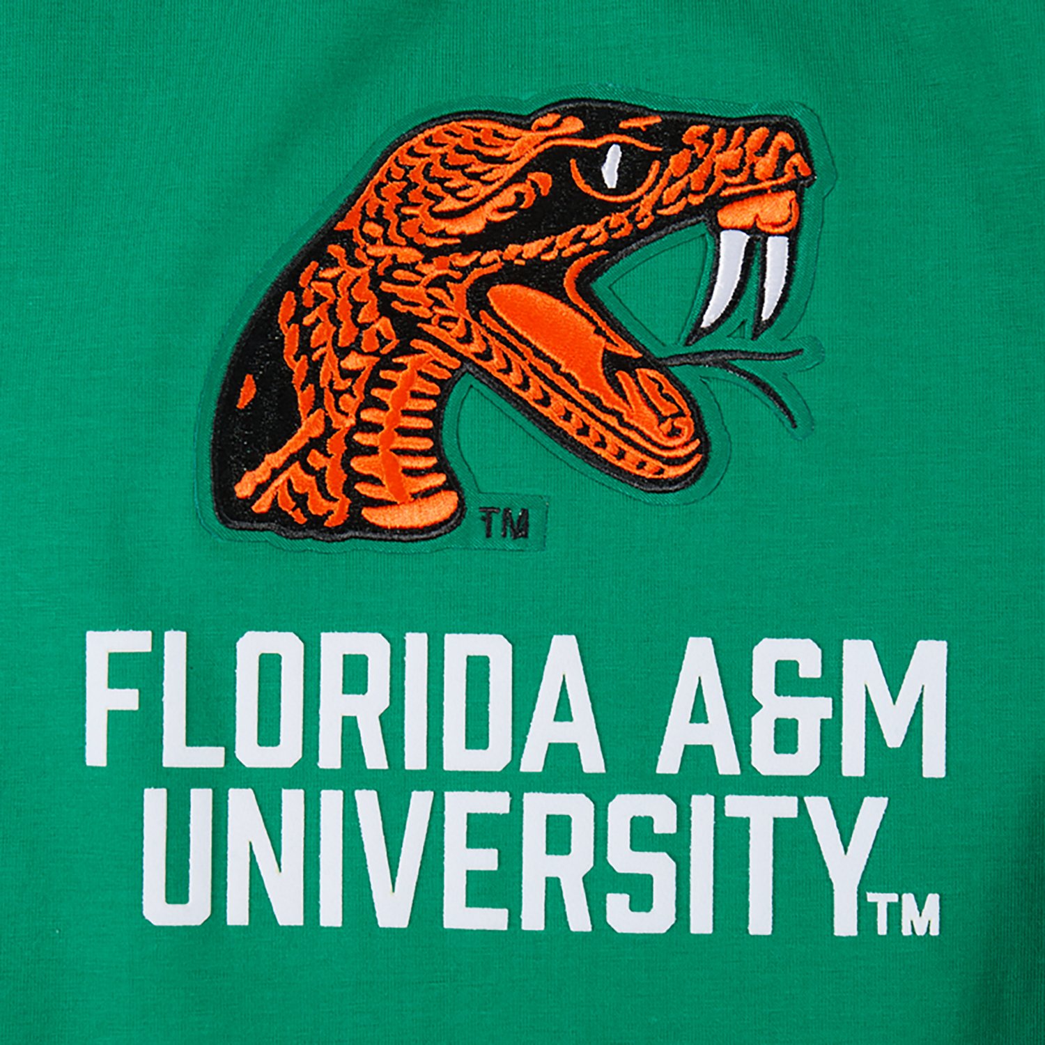 Pro Standard Men's Florida A&M University Homecoming Striped Graphic T-shirt - view number 5