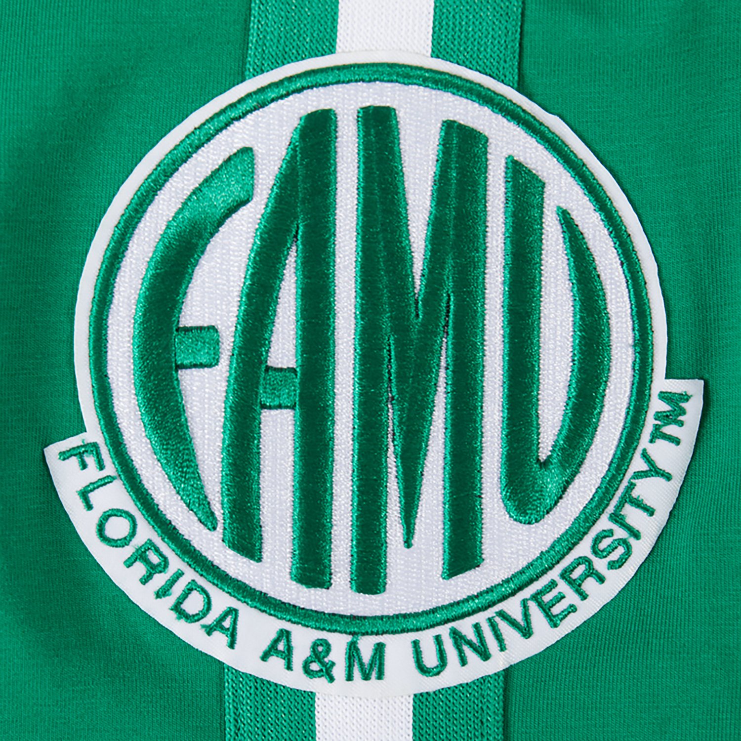 Pro Standard Men's Florida A&M University Homecoming Striped Graphic T-shirt