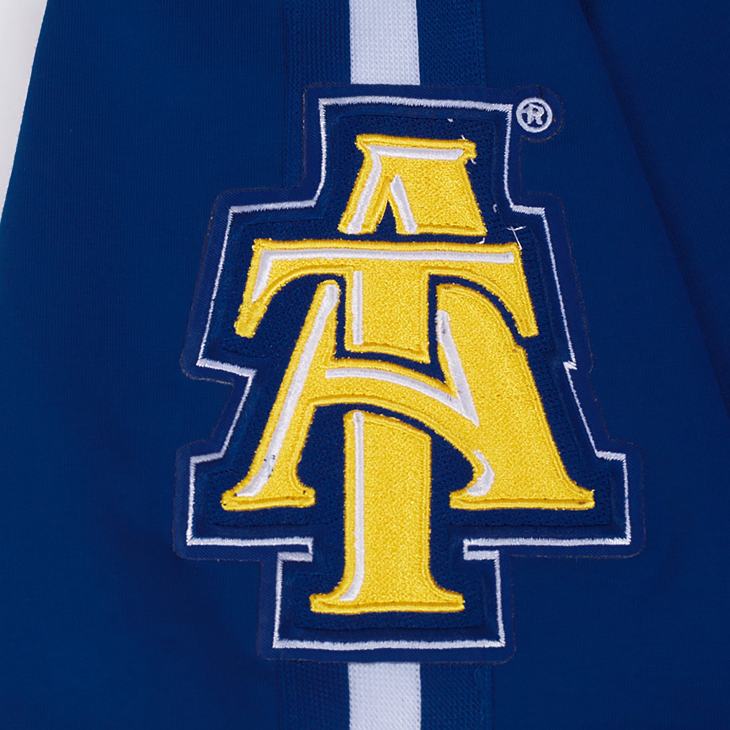 Pro Standard Men's North Carolina Agricultural and Technical State University Homecoming Striped Graphic T-shirt - view number 5