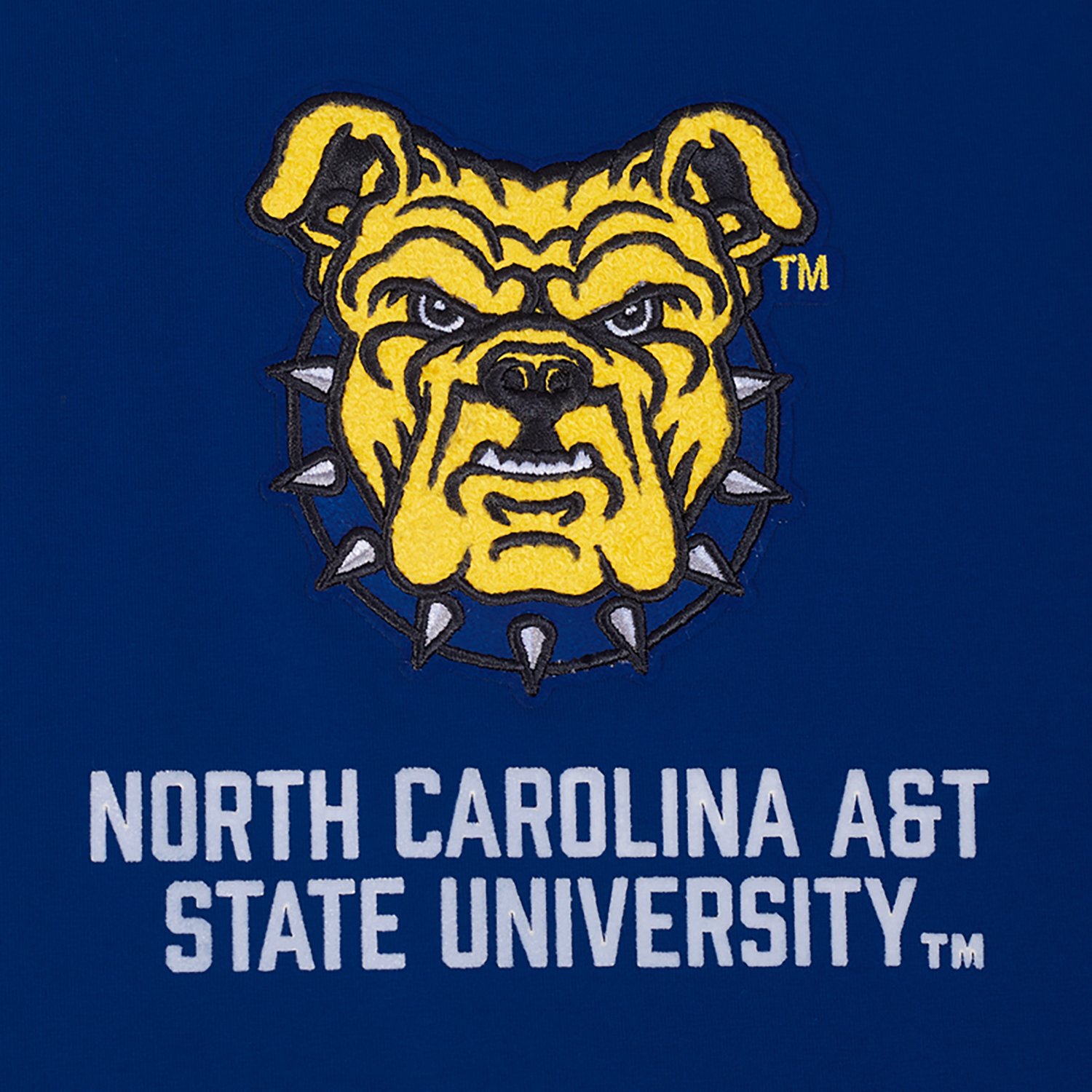 Pro Standard Men's North Carolina Agricultural and Technical State University Homecoming Striped Graphic T-shirt - view number 6