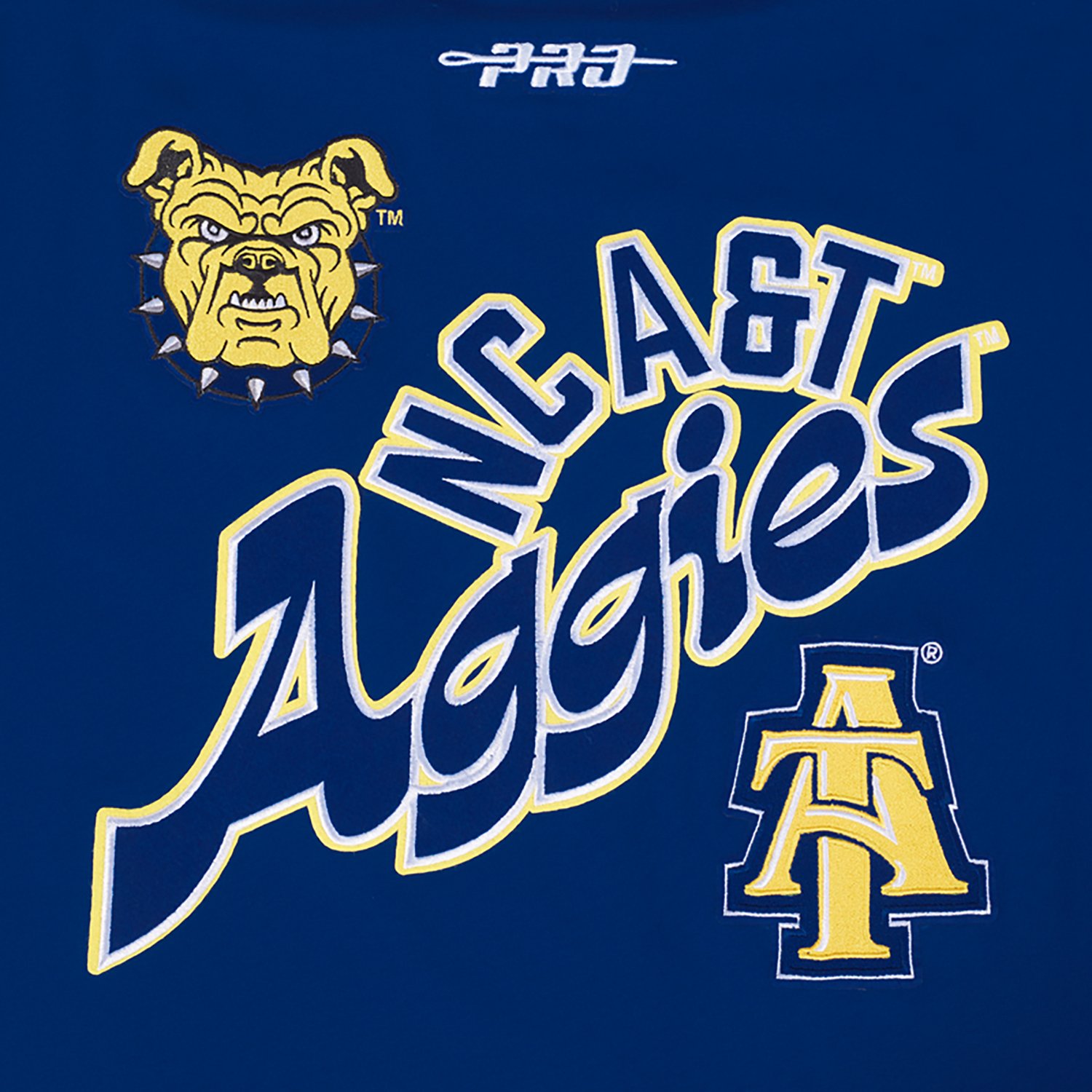 Pro Standard Men's North Carolina Agricultural and Technical State University Homecoming Striped Graphic T-shirt - view number 7