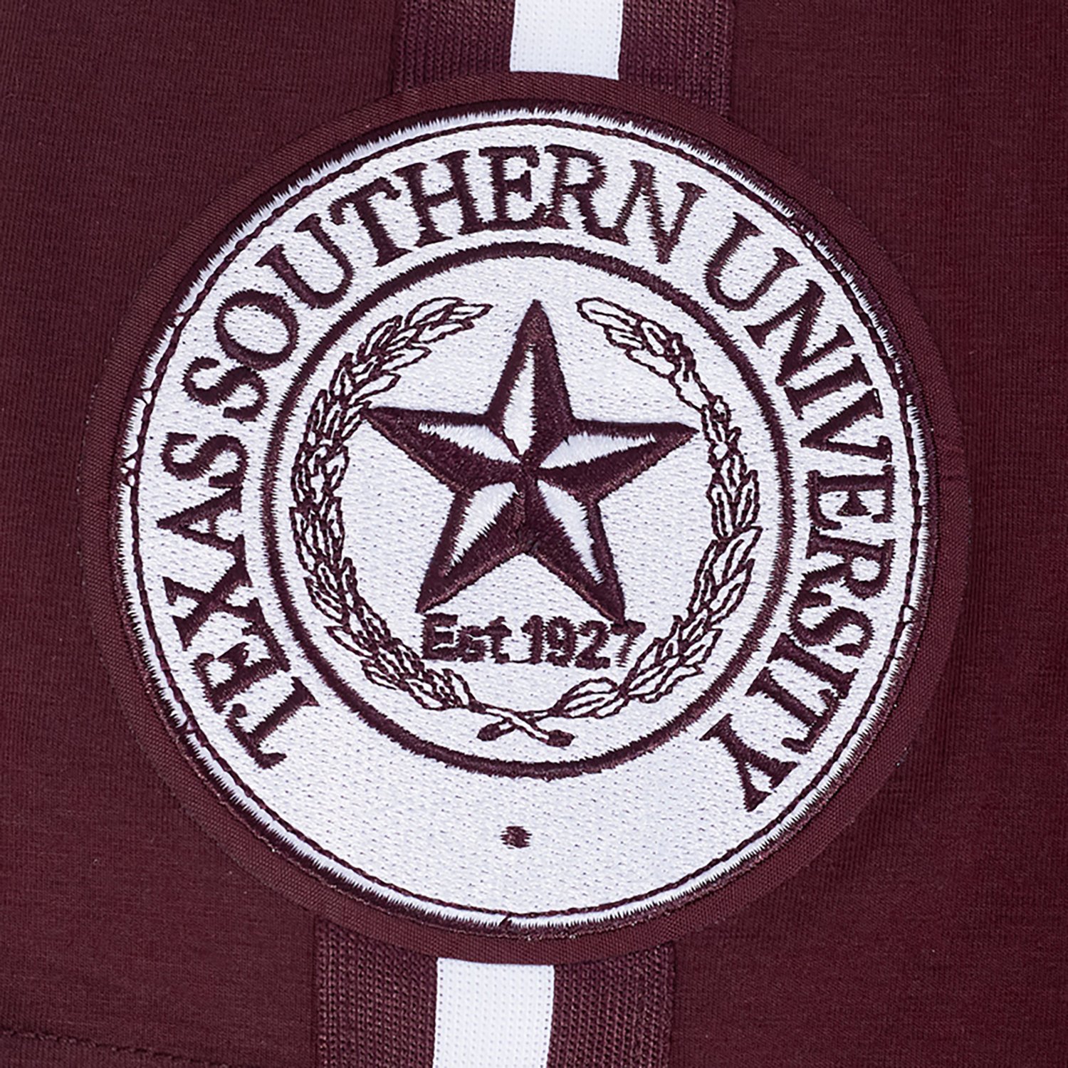 Pro Standard Men's Texas Southern University Homecoming Striped Graphic T-shirt - view number 5