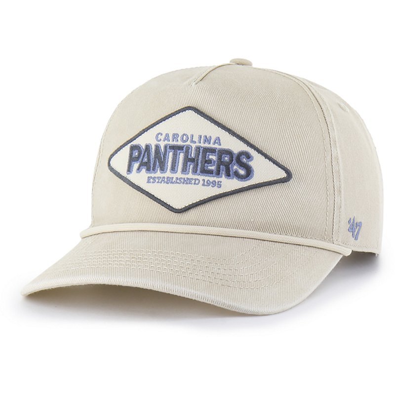 47 Panthers Carin H… - image