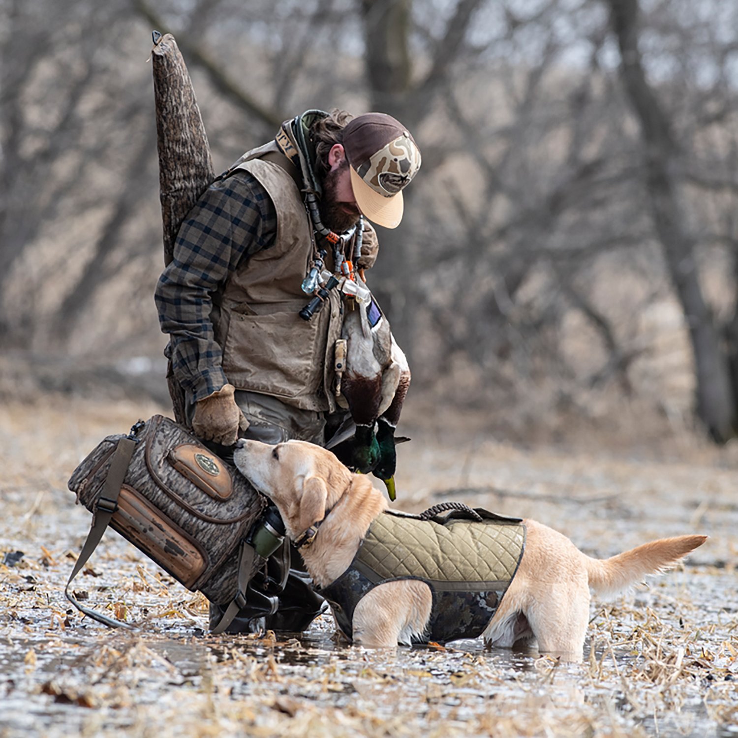 Rig'Em Right Outdoors Bloodline Elite Dog Vest