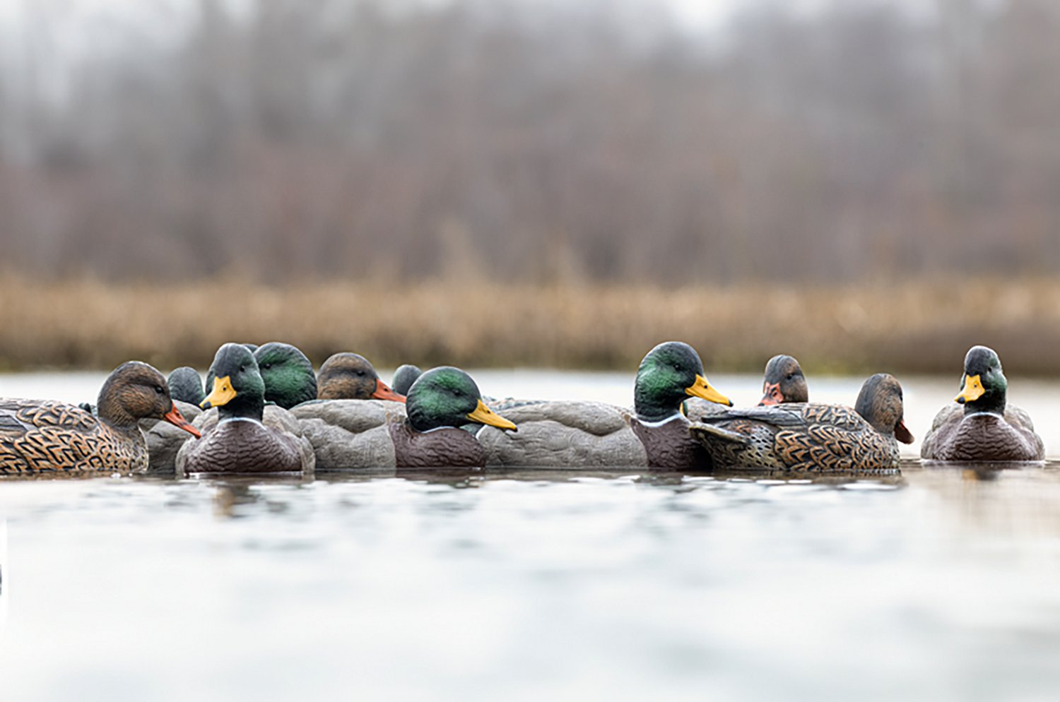 Rig'Em Right Outdoor Mainline Series Mallard Decoy 6-Pack - view number 7